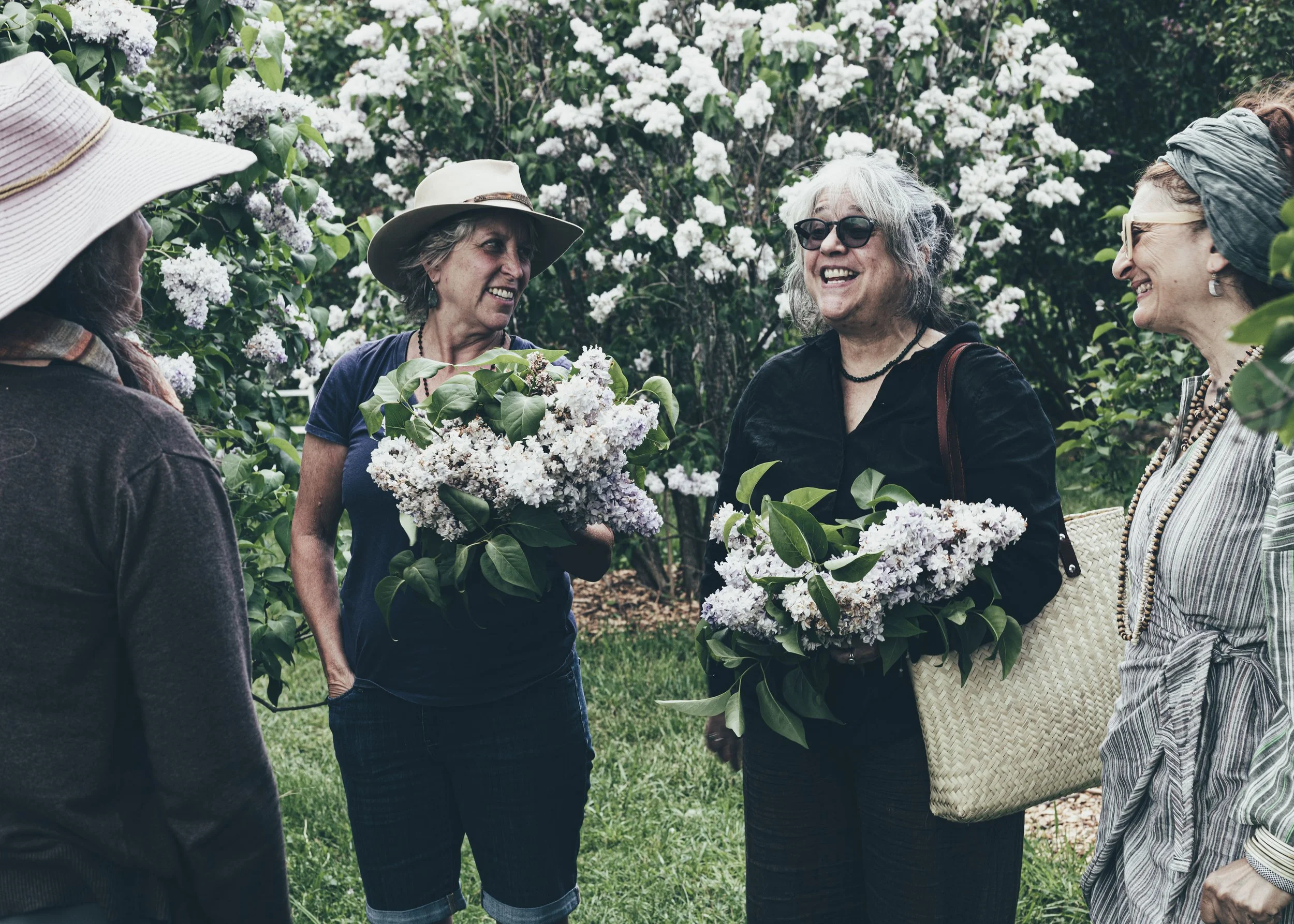 Cherry Valley Lilac Farm-Christine Harris-7.jpg