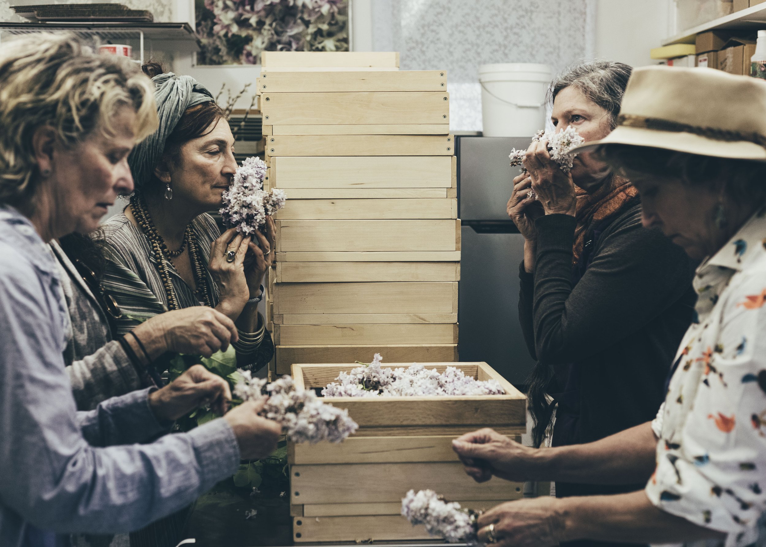 Cherry Valley Lilac Farm-Christine Harris-40.jpg