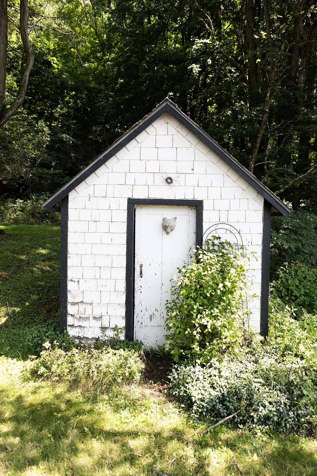Garden Shed