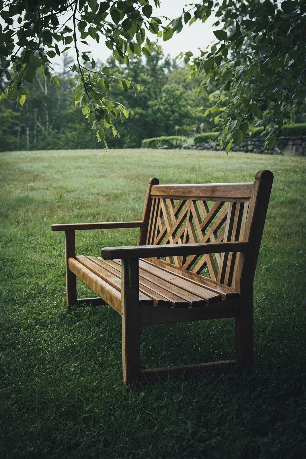 A Quiet Corner at Tahilla Farm