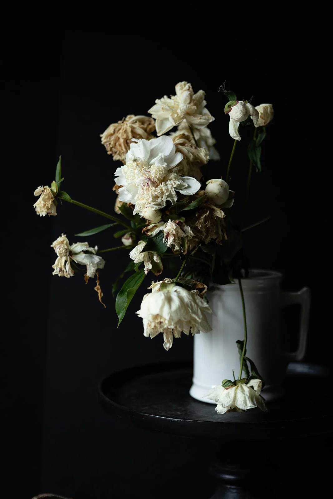 Dark and Light in Jeanne's Workshop