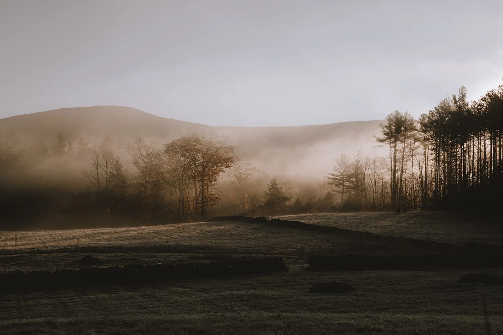Misty autumn morning over the fields and tree line at Tahilla Farm in Peterborough, New Hampshire