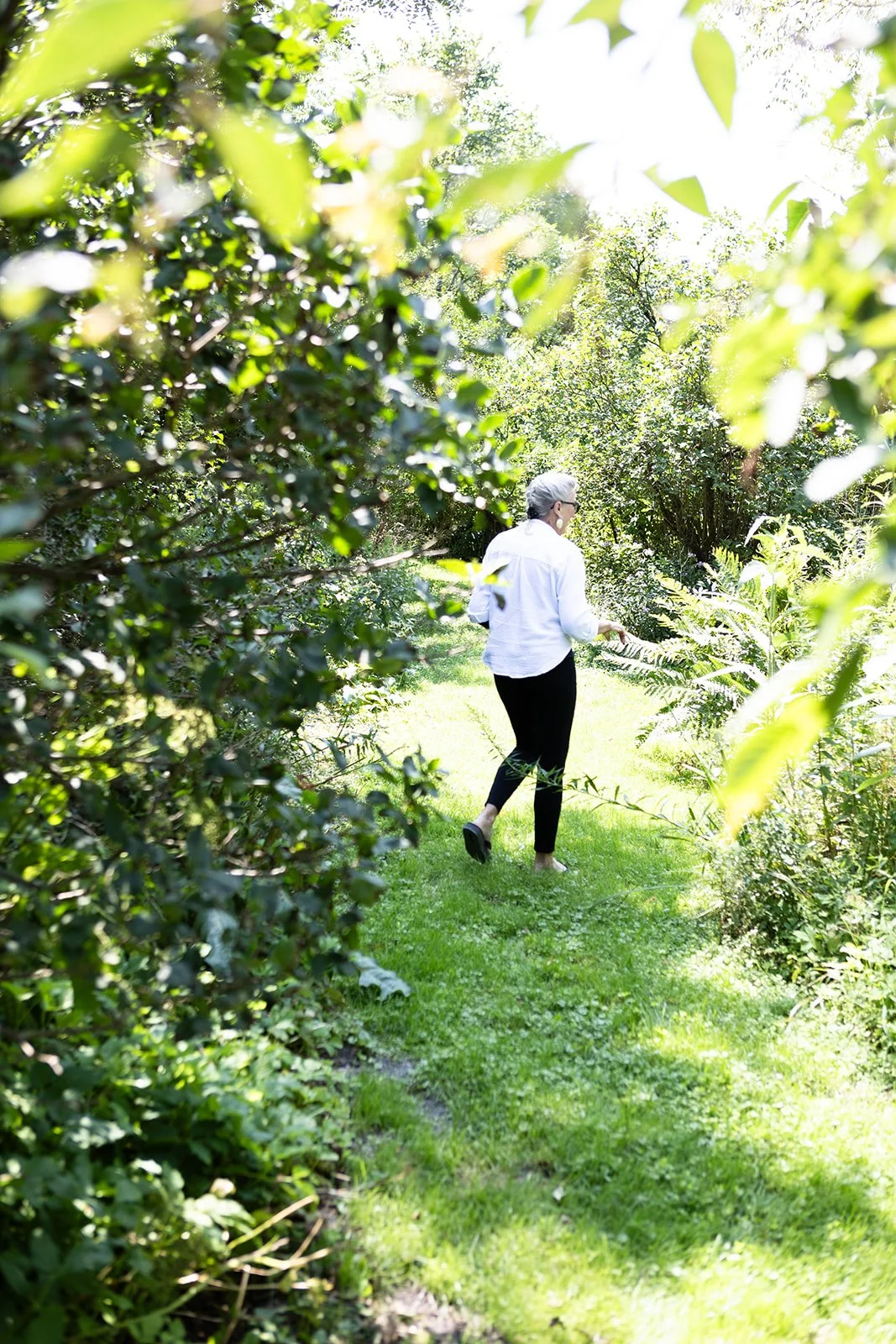 A Walk Through the Garden