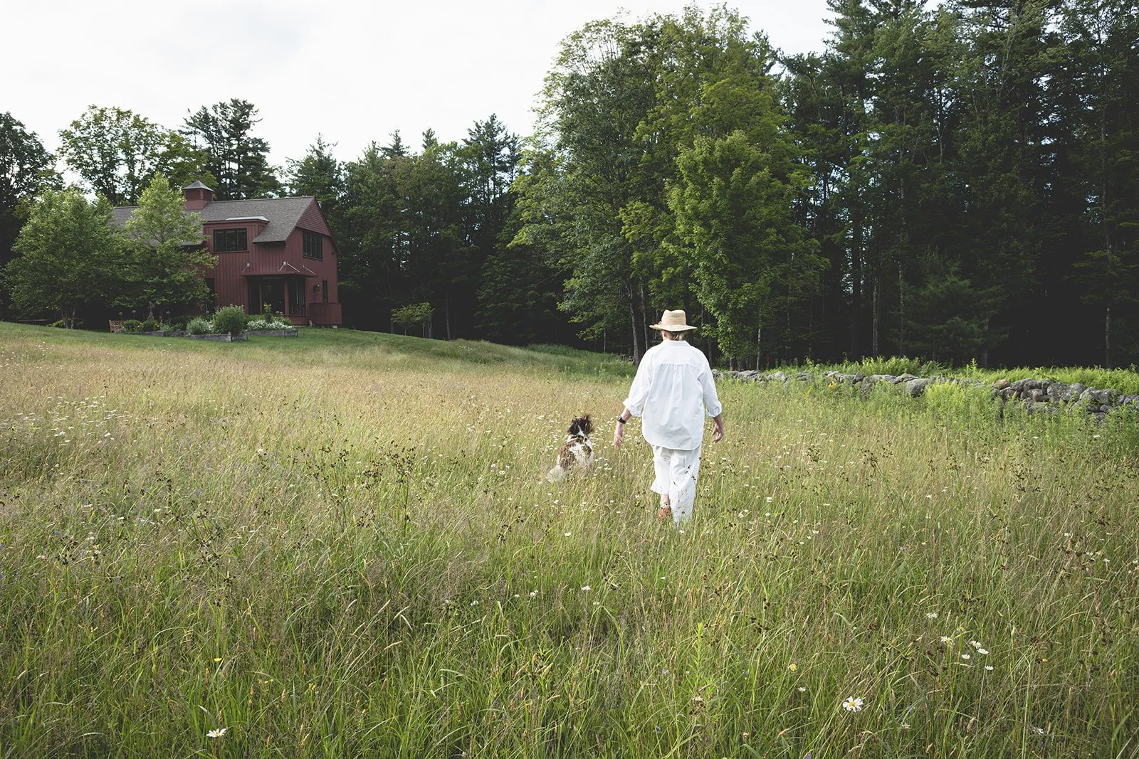 Jeanne Henriques walking through the summer meadow at Tahilla Farm in Peterborough, New Hampshire, with Tawni at her side and the carriage house in the background