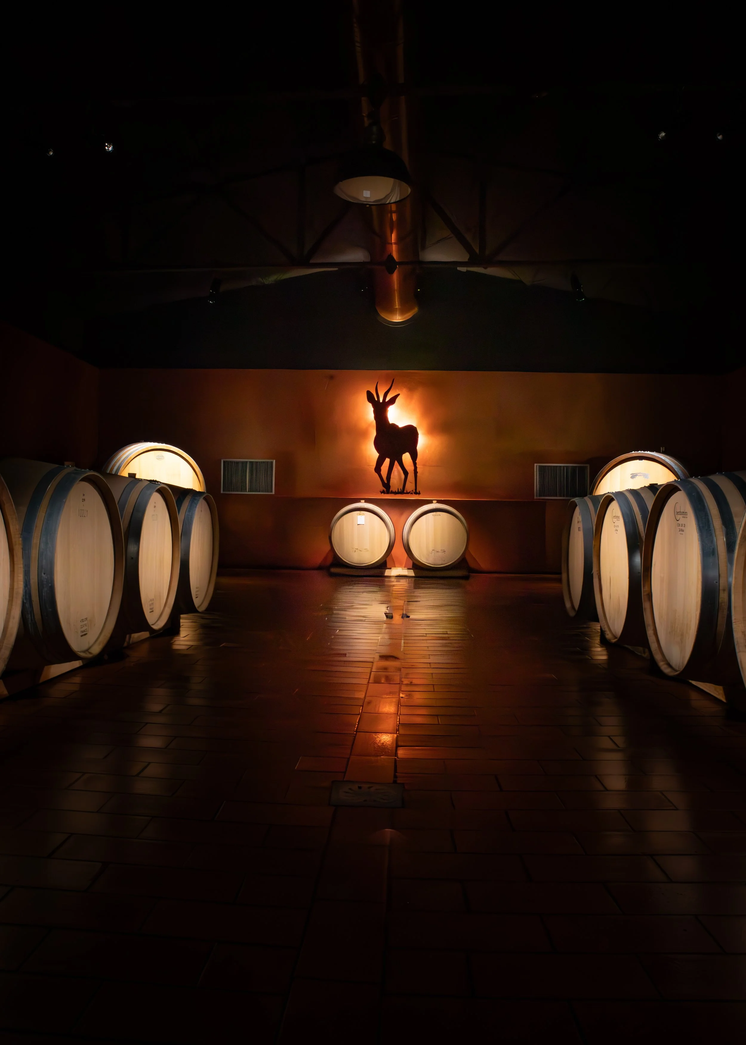  Wine barrels in the cellar at Ipsus winery with stag silhouette, Chianti. Photography by Christine Harris. 