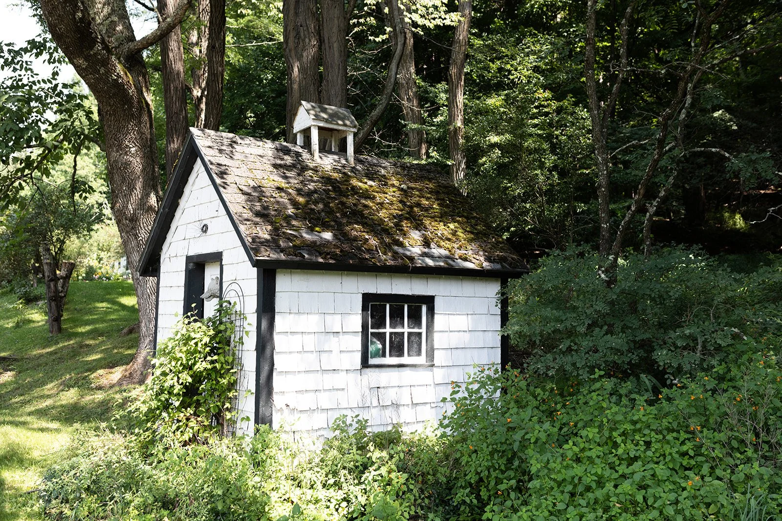 Garden Shed
