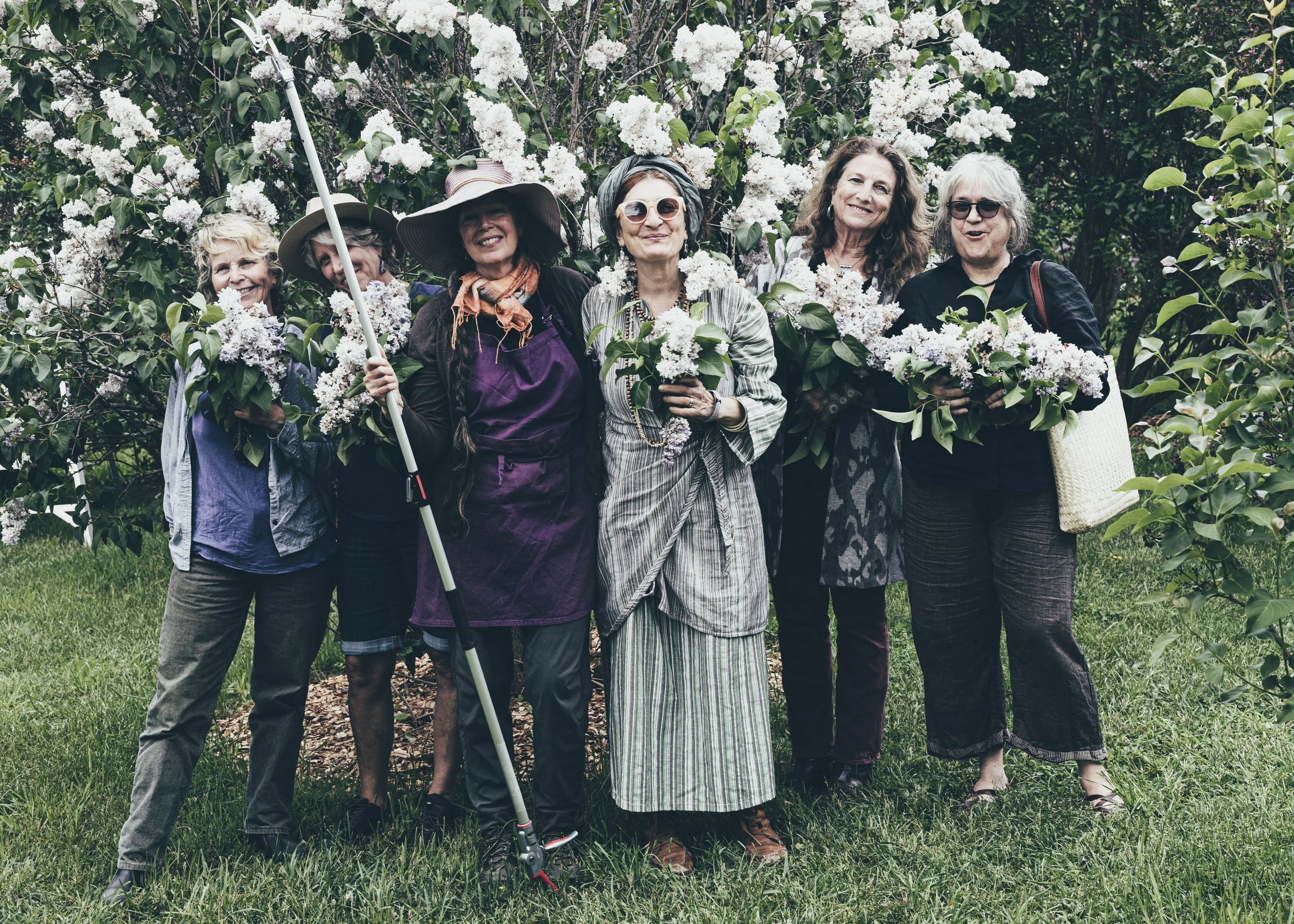 A Day at Cherry Valley Lilac Farm