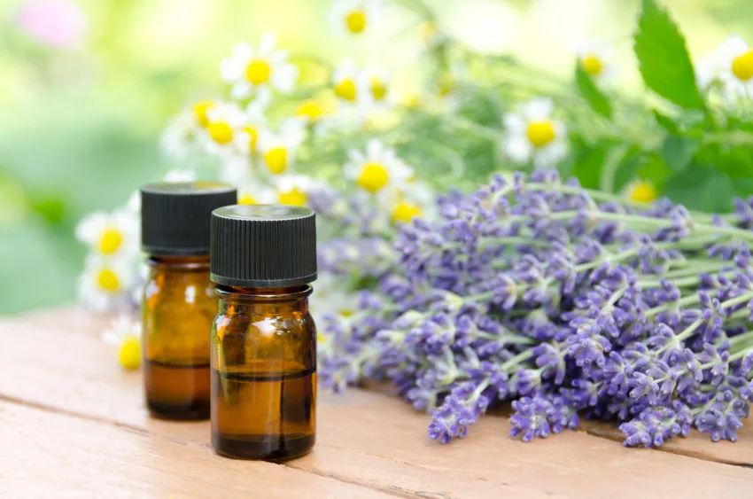 Using Essential Oils 