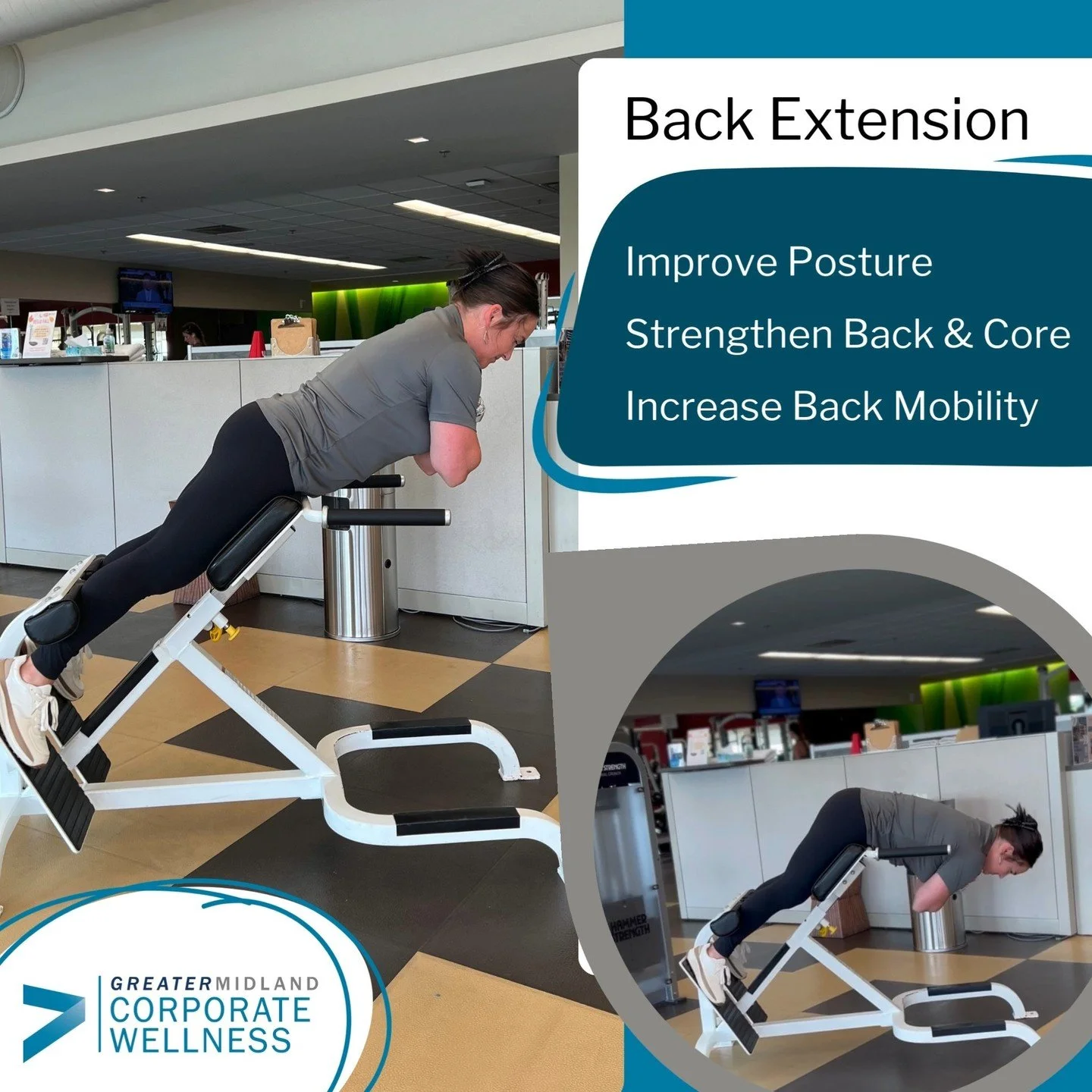 Equipment - Back Extension.jpg