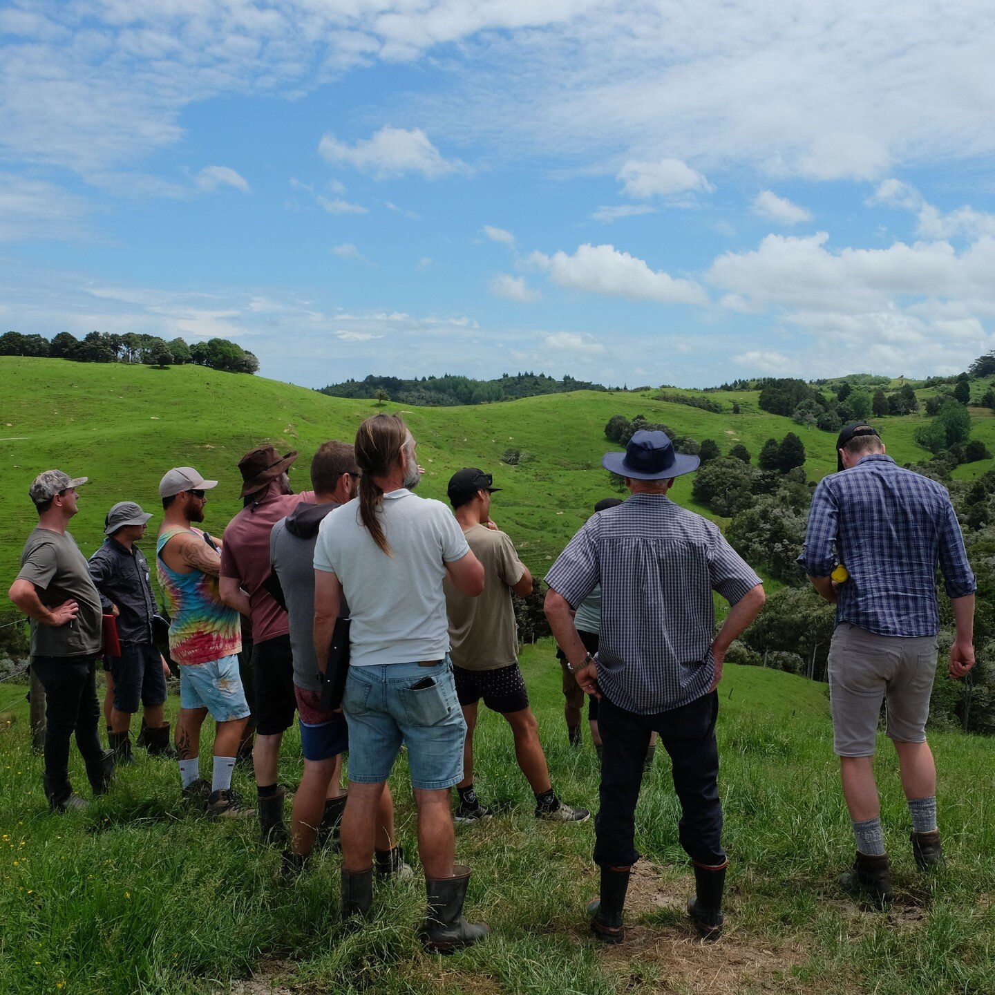 Grateful to help deliver the first round of training for field advisors in the Kaipara Moana catchment recently 🐟 A diverse group of local learners &amp; legends assembled on te whenua o Te Uri o Hau, to workshop techniques, visit Kaipara farms and 