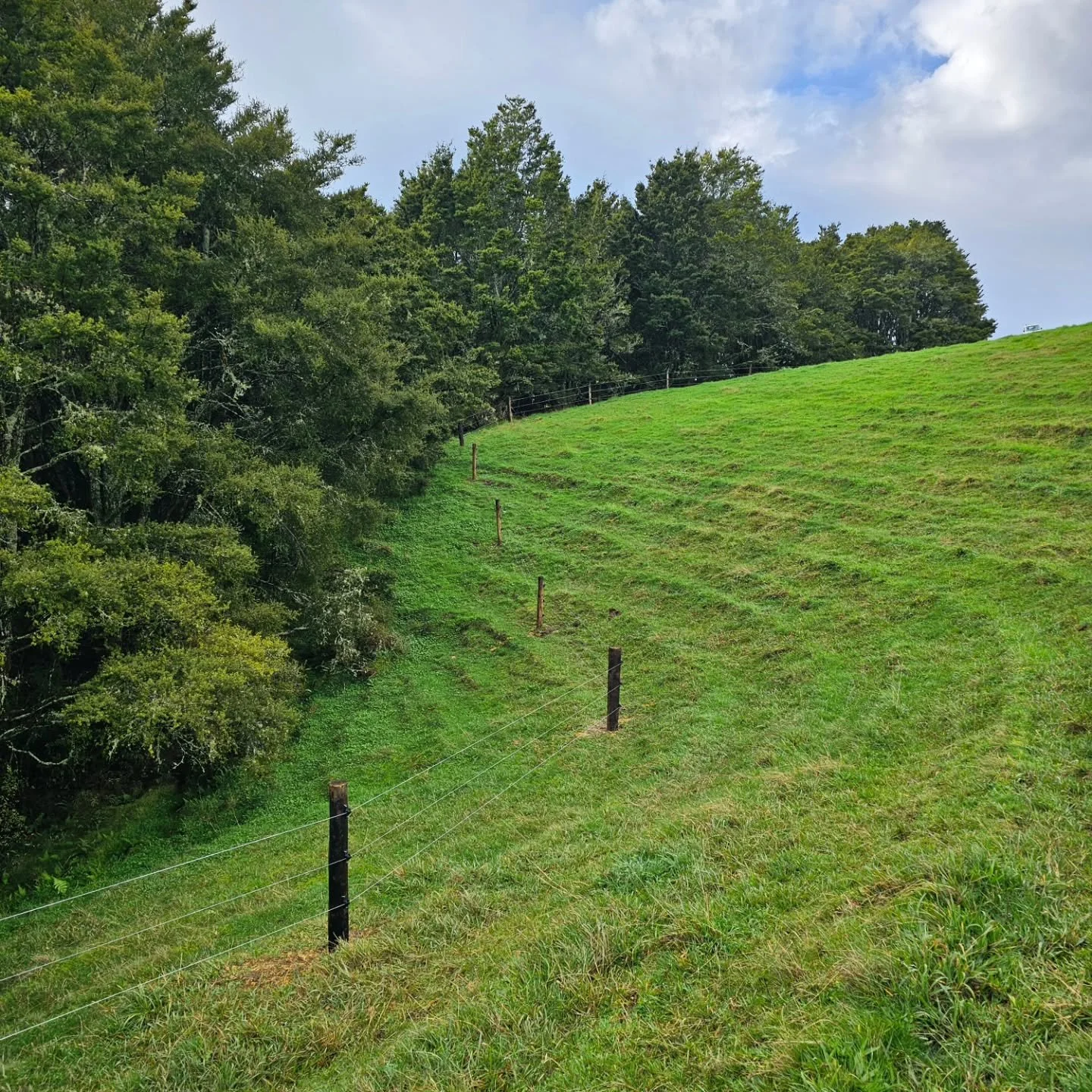 Signing off another stock-exclusion fence for a forward-thinking farmer. 
This fence will protect an extensive native bush gully from grazing animals, bolster long-term biodiversity, and reduce sedimentation into waterways. 
This fence will ALSO bo