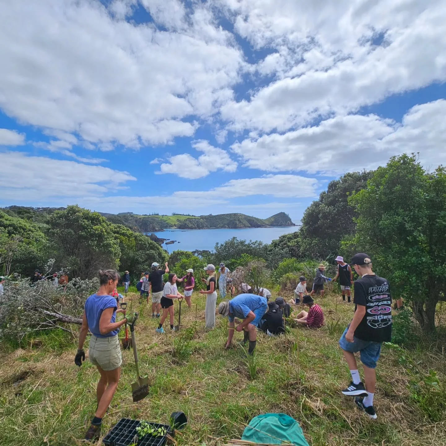 Spring planting day with Ngunguru School seniors - future kaitiaki of our beautiful coast 🌳