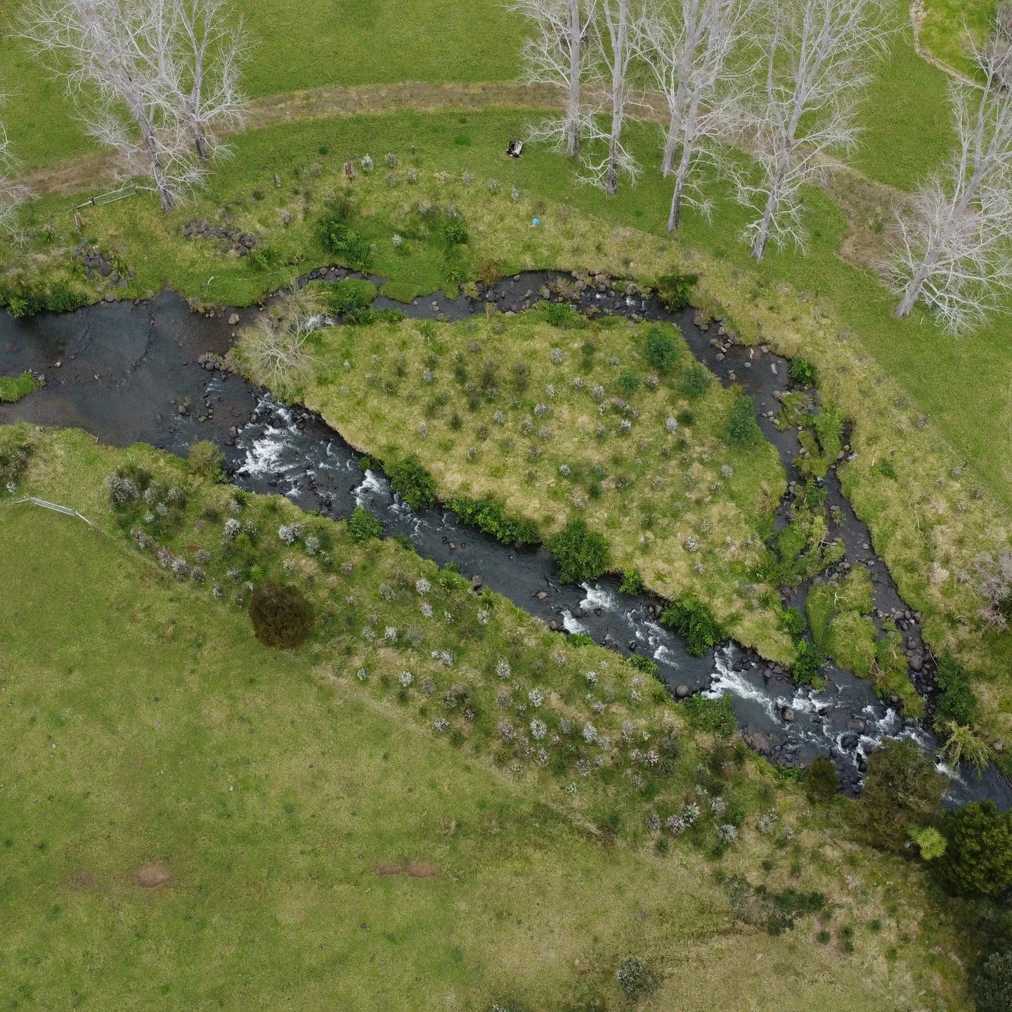 Riparian forest renewal 🌱🌳 Awesome work from Tiaki Nga Wai O Hokianga / Hokianga Harbour Care