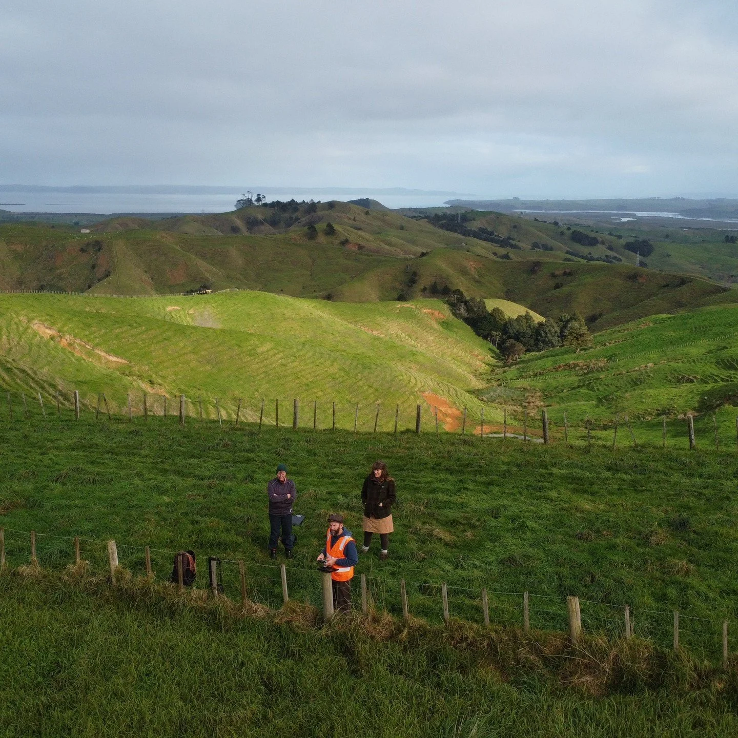 Scoping another big native planting project in the Kaipara Moana catchment. This image highlights the ongoing negative effects of hill country erosion on sensitive receiving environments (wetlands, waterways, estuaries, harbours, ocean) and the scale