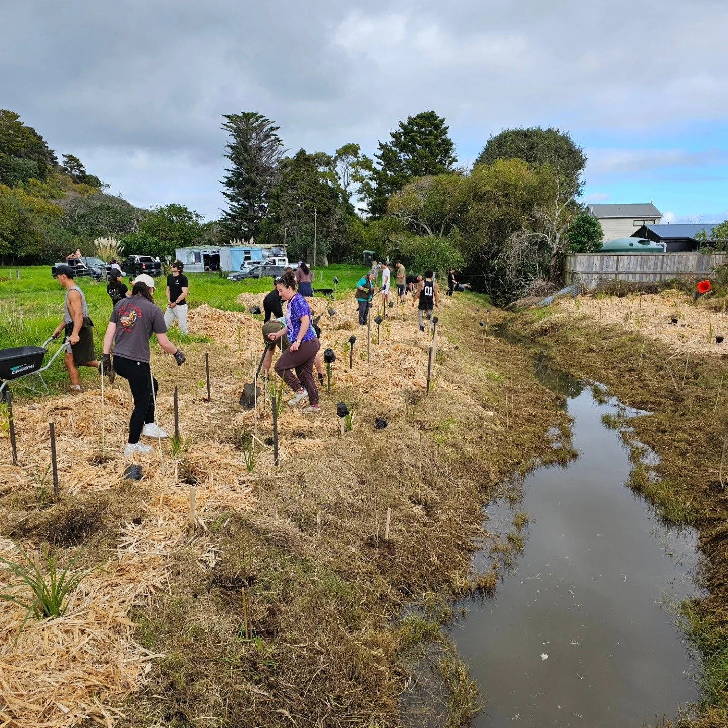 Happy to contribute our planning (and digging) skills to a local planting project. Shoutout to Ana and whānau at Ngunguru Marae, Ngunguru School crew and the team at @dish.pod for taking action to protect our local catchment 🐟🌳