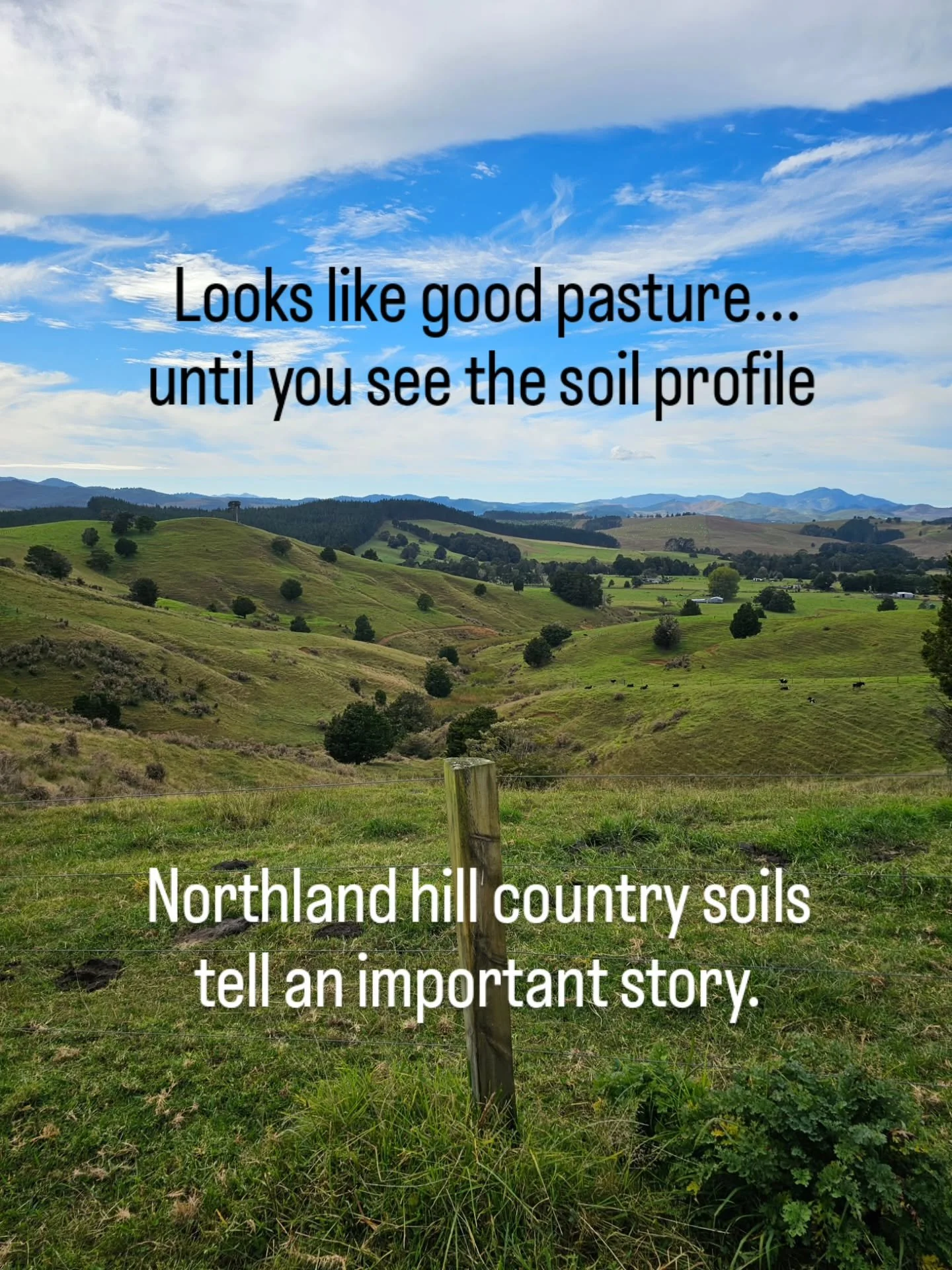 Fragile soils don't respond well to being pushed harder.

By reading the soil profile and matching tree species to land capability, we can protect slopes, reduce sediment loss and create resilient catchments. 

Sometimes the best farming decision is 
