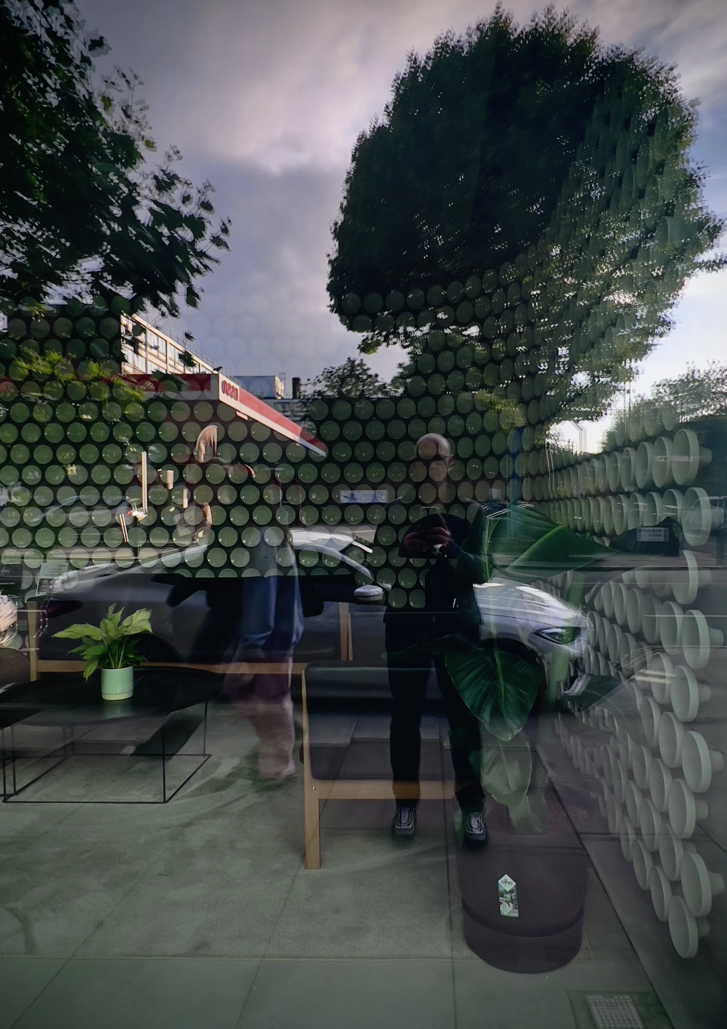 Reflection of a person taking a photo in a store window, showing an interior with a potted plant and a black chair, and an exterior scene with trees, a car, and a person walking on the sidewalk.