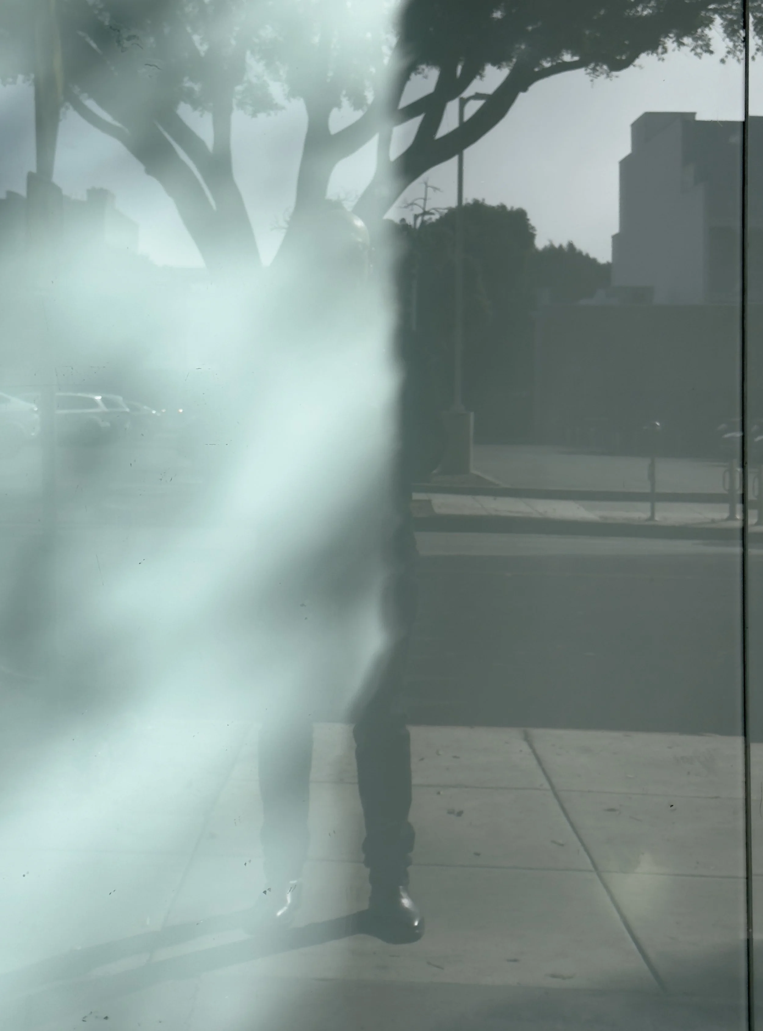Reflection of a person taking a photo on a glass surface with trees and buildings in the background.