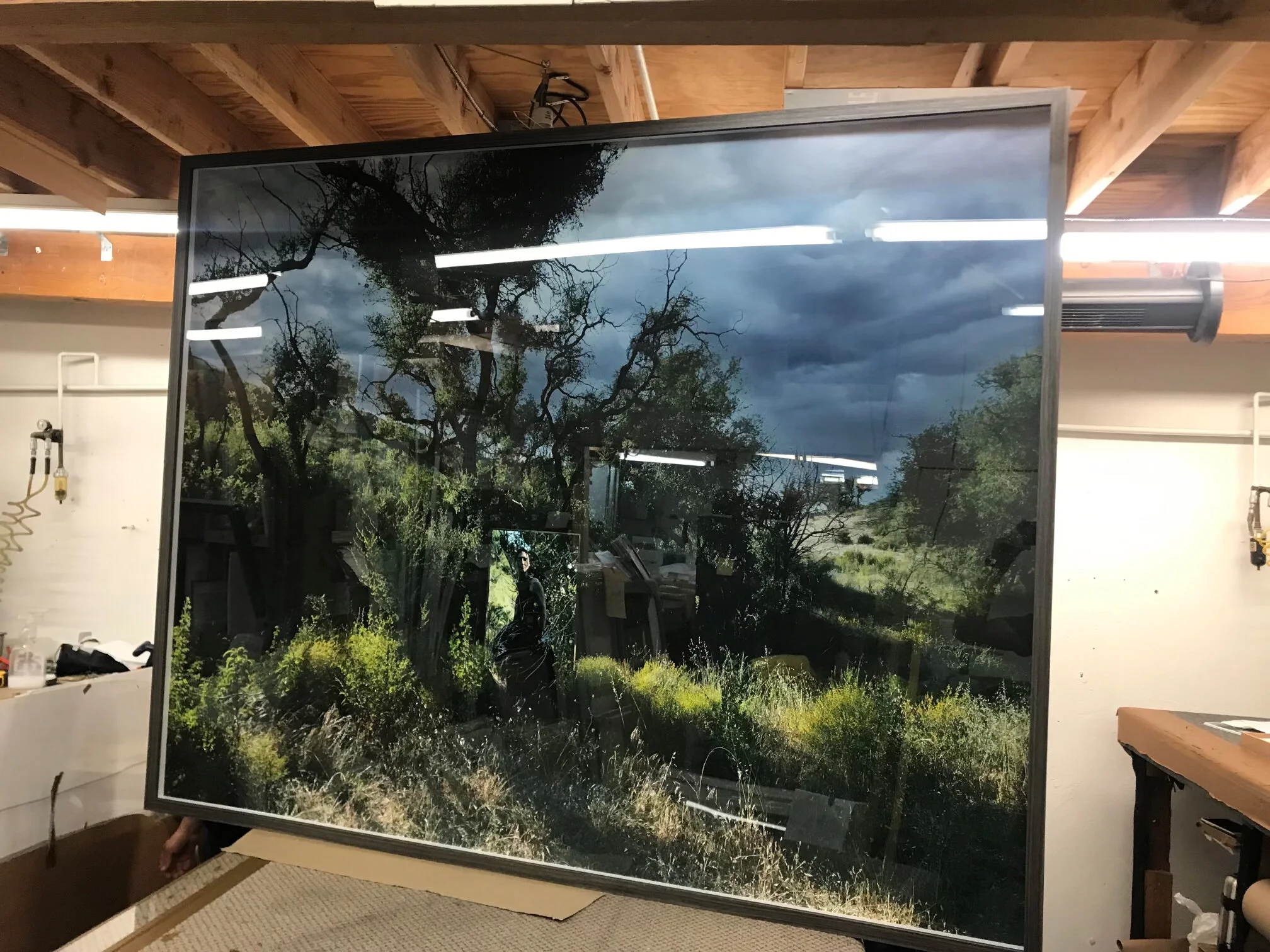 Large framed landscape photograph of a forest scene with trees and grass against a dramatic, cloudy sky.