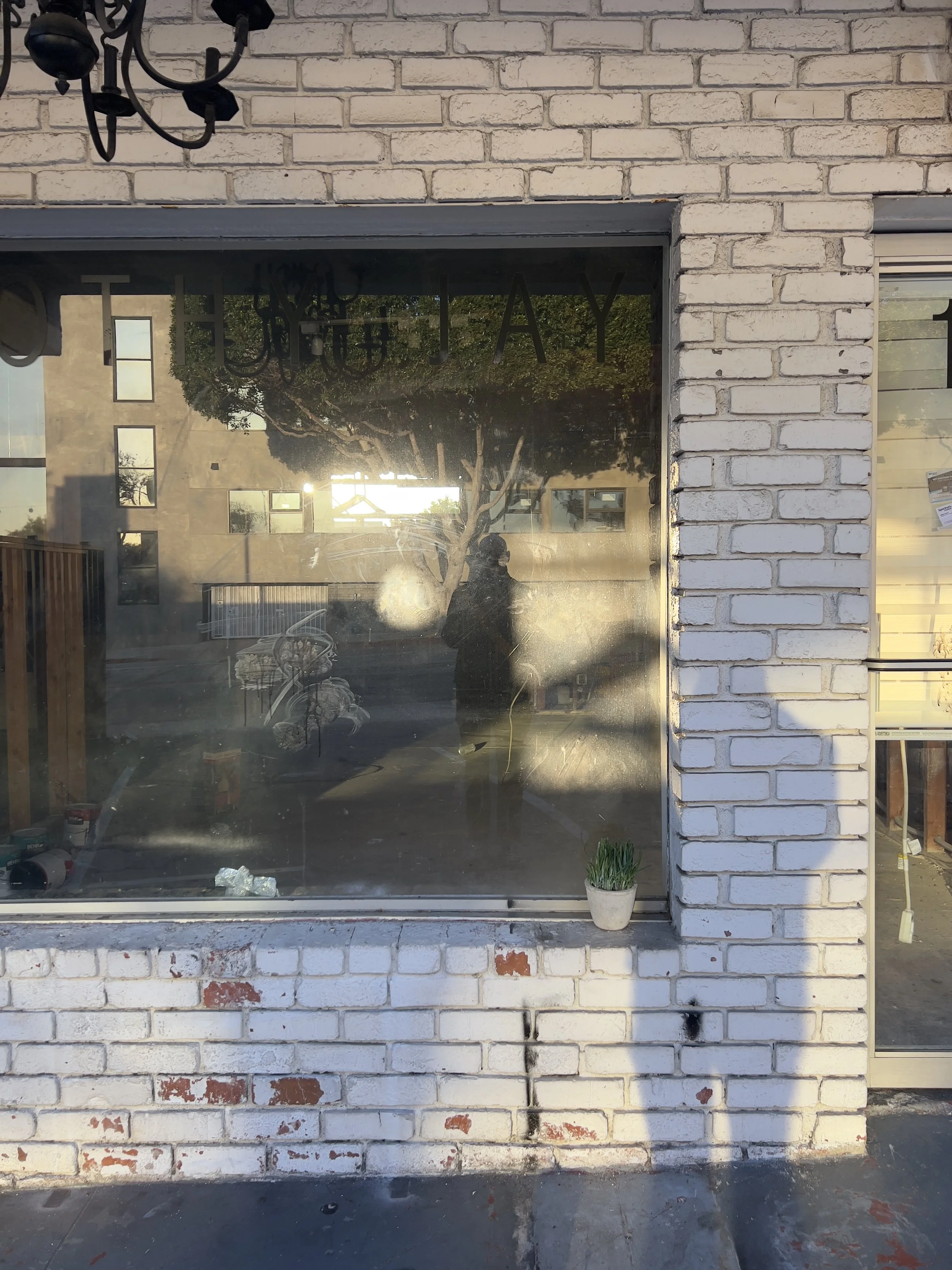 Reflective glass window with a silhouette of a person taking a photo, a tree and a building visible outside, a small potted plant on the windowsill, and the word 'HAY' partially obscured on the window.
