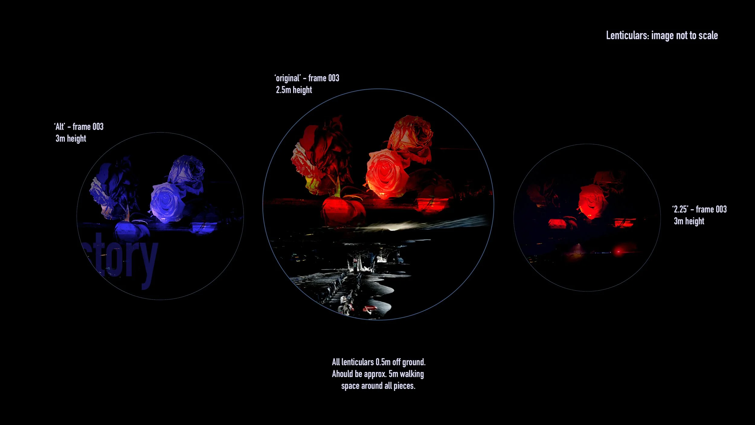 Dark image with three circular frames. Left frame depicts blue roses marked as 'Alt - frame 003, 3m height'. Middle frame shows red roses labeled 'original - frame 003, 2.5m height'. Right frame also features red roses named '2.25 - frame 003, 3m hei