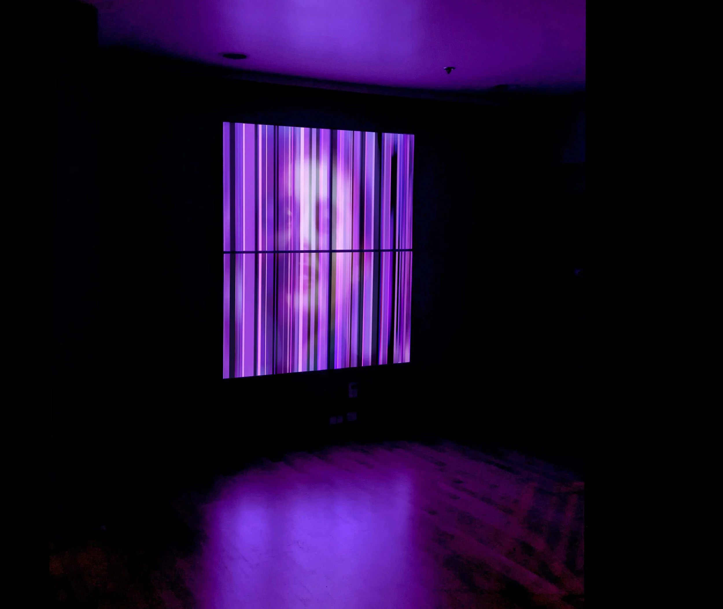 Purple light installation on large screen in dark room with face and vertical lines.