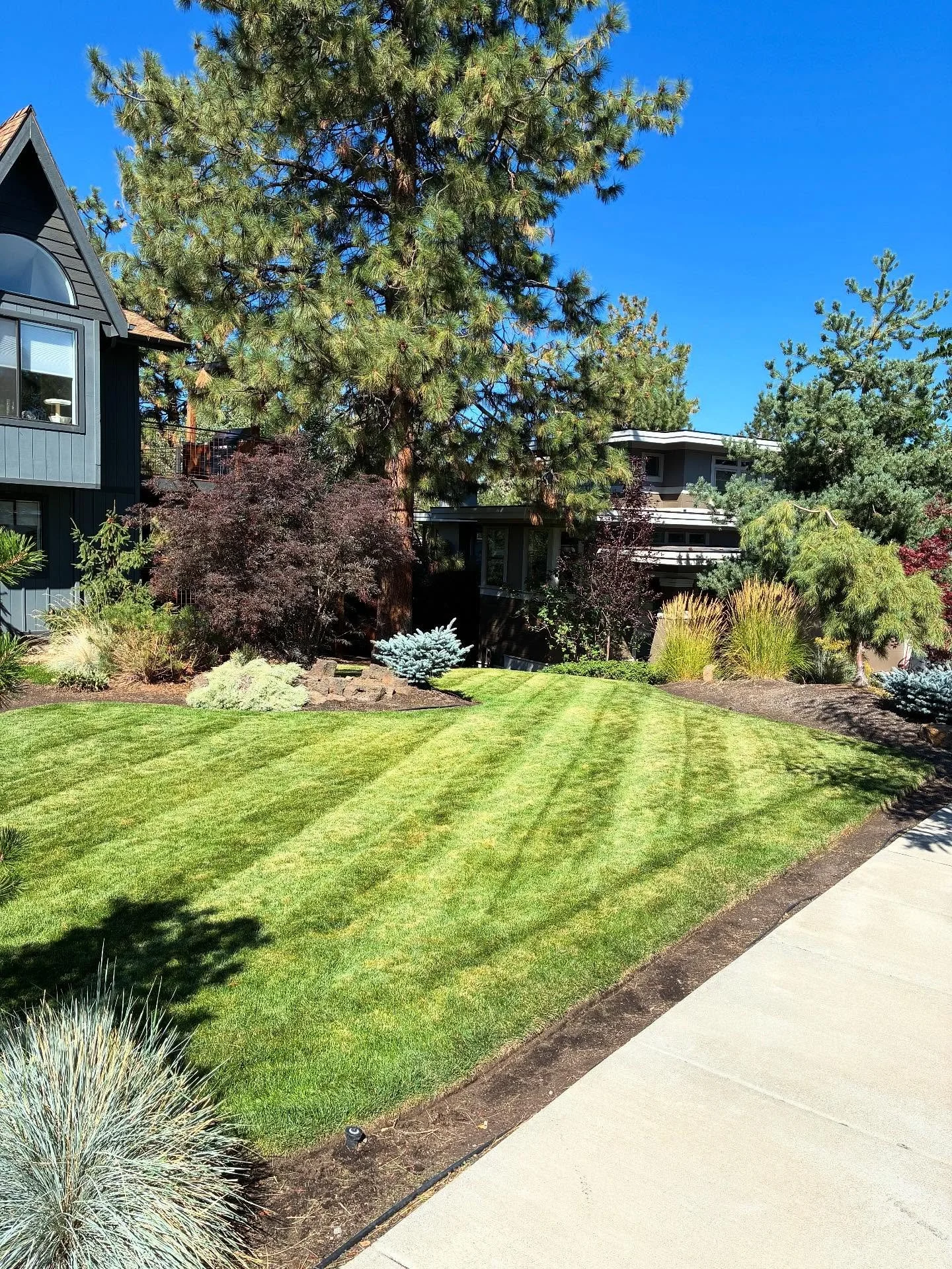 Happy Fall Y&rsquo;all!  Just about a month or so left of cutting grass here in Central Oregon then we switch into clean up mode🍁 

#LawnCare #LawnMaintenance #Landscaping #Grass #Mowing #Mulch #Trimming #Edging #Flowerbed #Stihl #YardGoals #Spring 