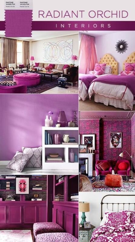 A-Z HOME DECOR TREND 2014: RADIANT ORCHID