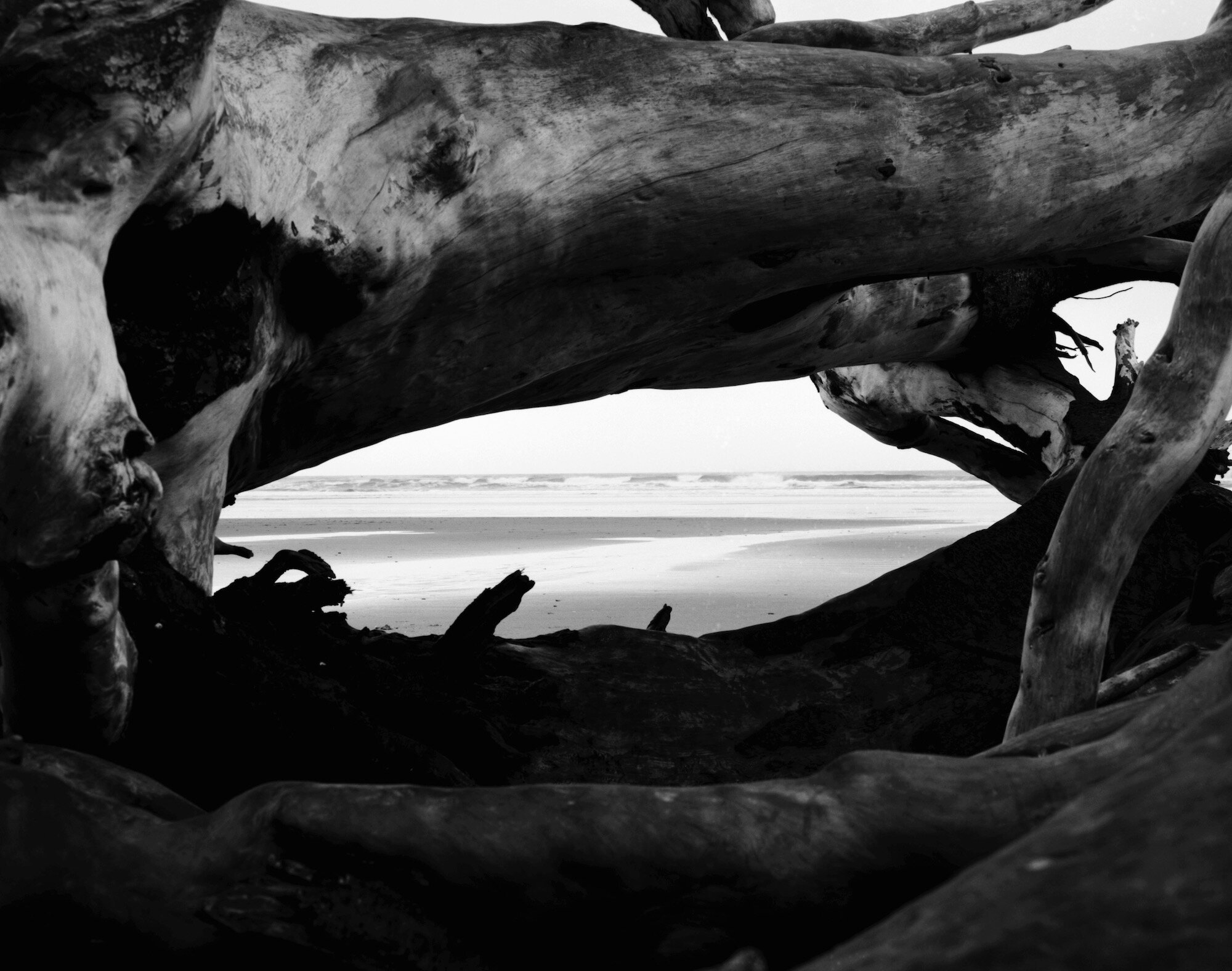 Surf Vignette - Manzanita