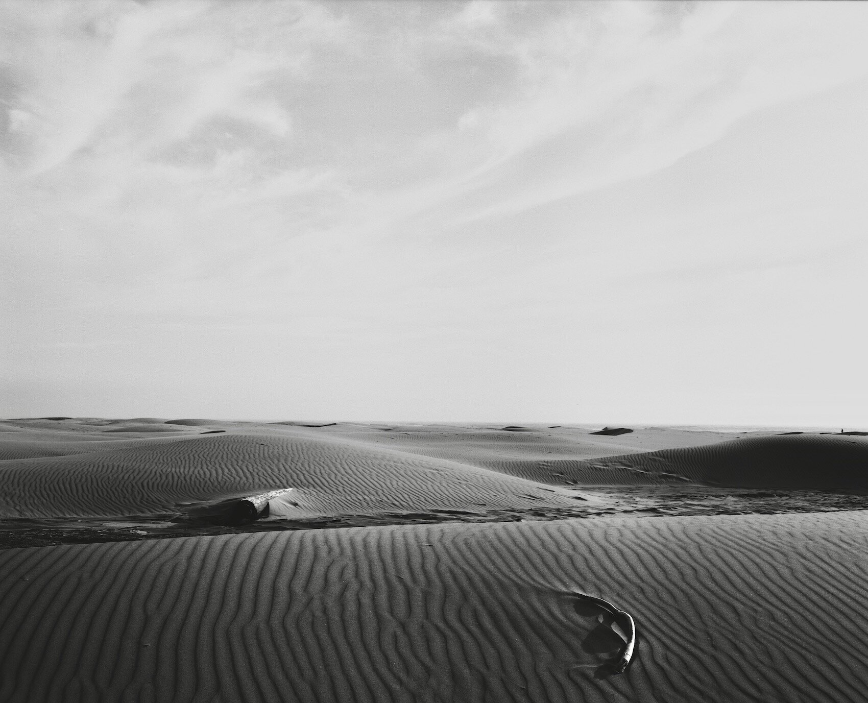 Remnants - Agate Beach