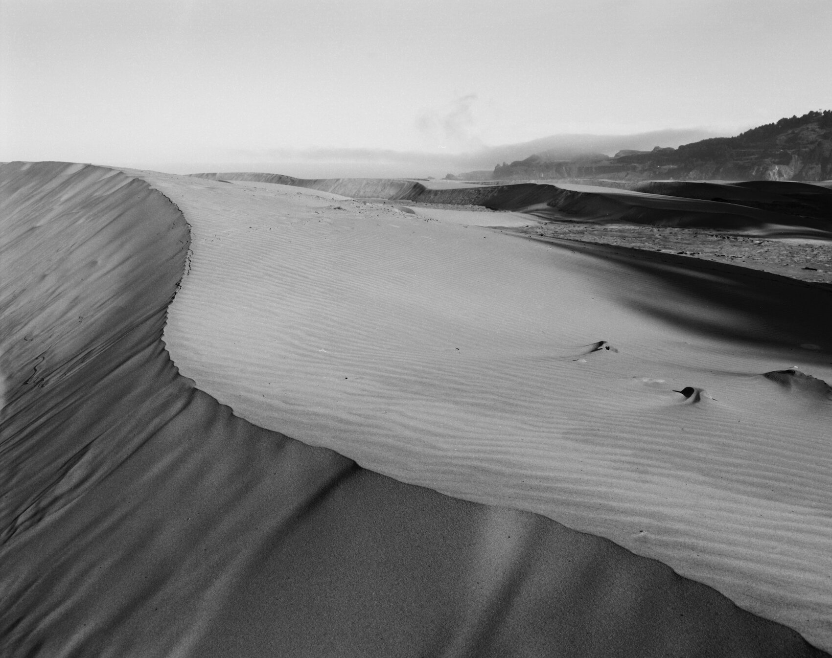 Dune Morning - Agate Beach