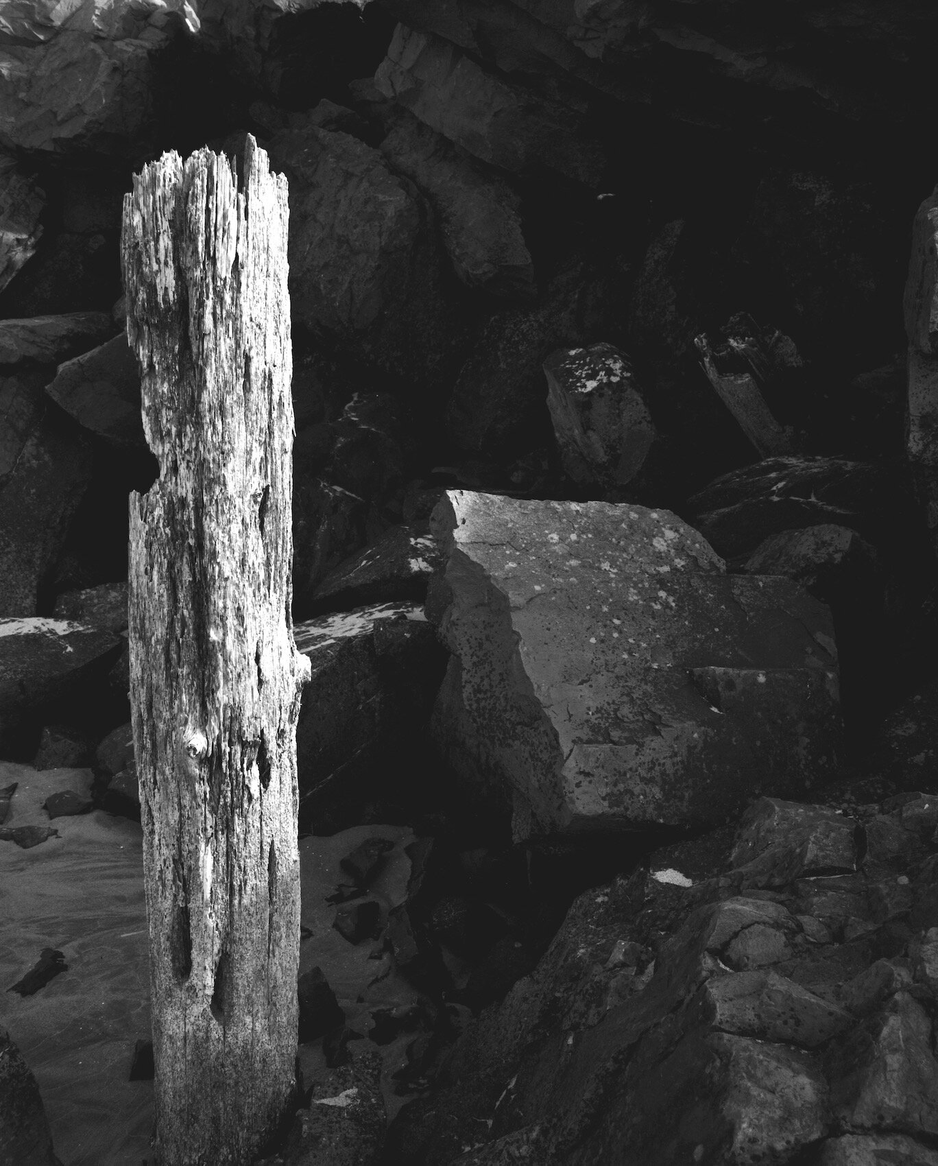Piling - Barview North Jetty
