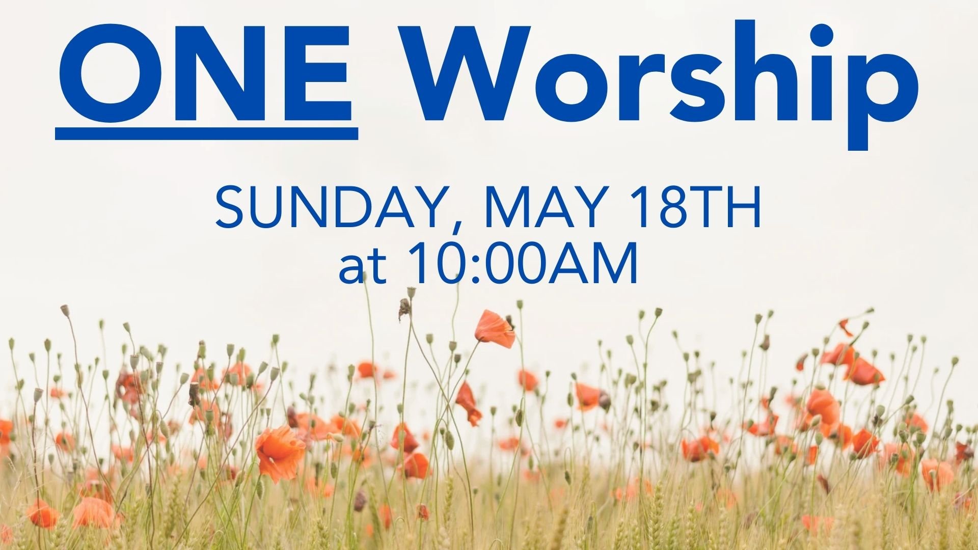One Worship