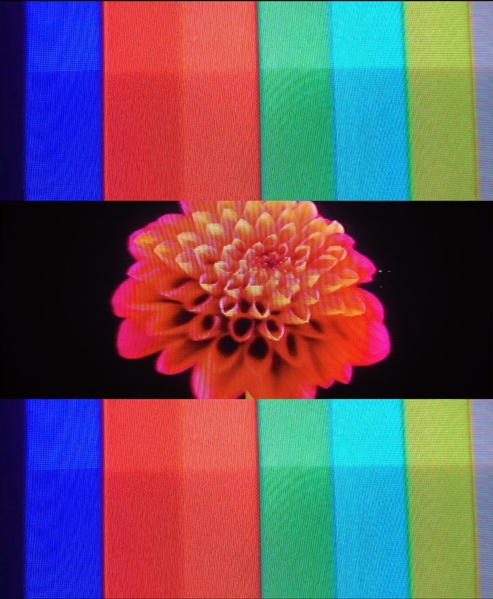 Some selects from the @calvinharris show we premiered last weekend at Coachella

I got to create and edit some old school analog rave visuals and make some other fun animations with @mattcummer @lou.alencar @bendalgleish 

Stage design, Show directio