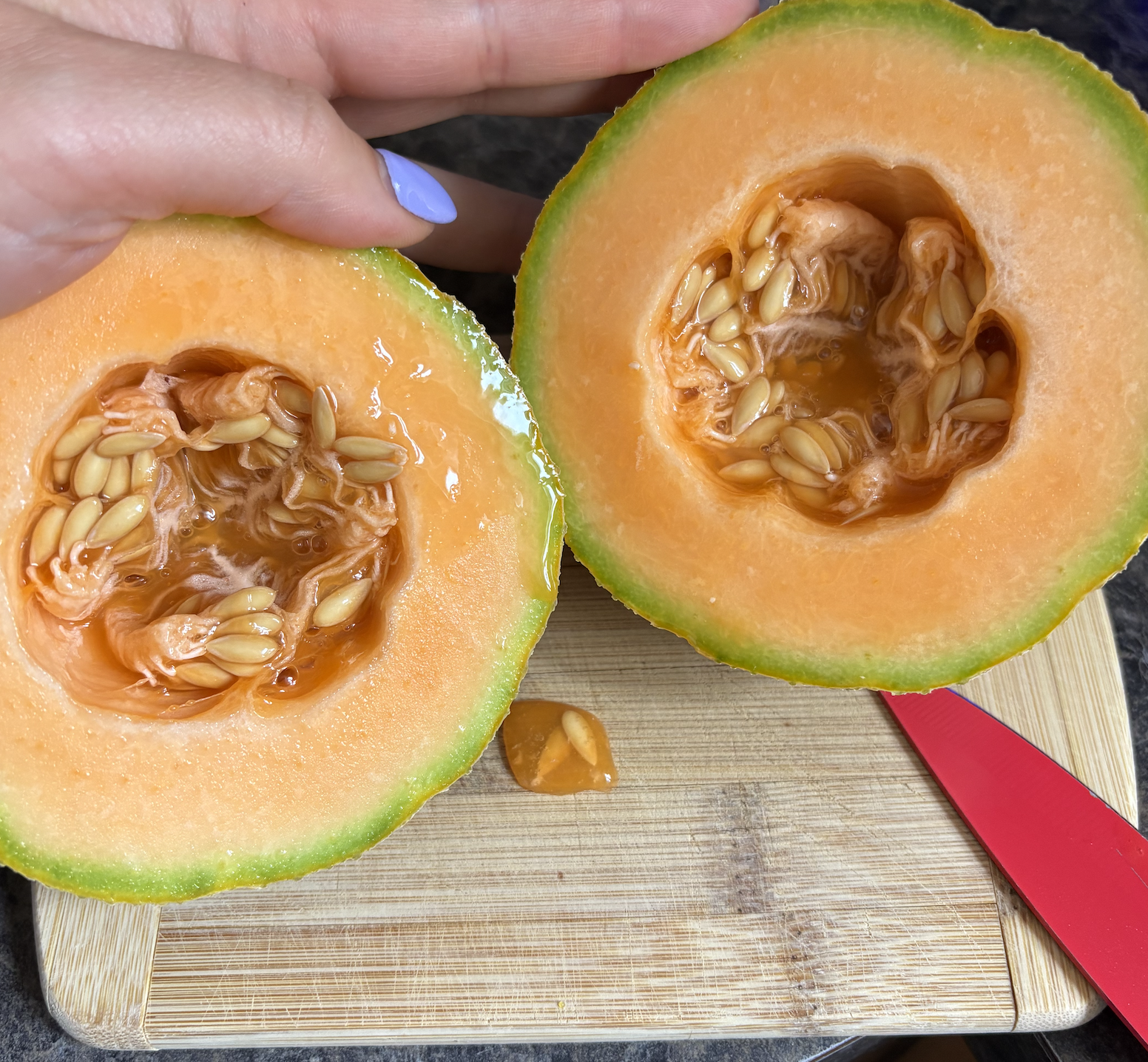 Growing Honey Rock &amp; Tiger Melons at Home