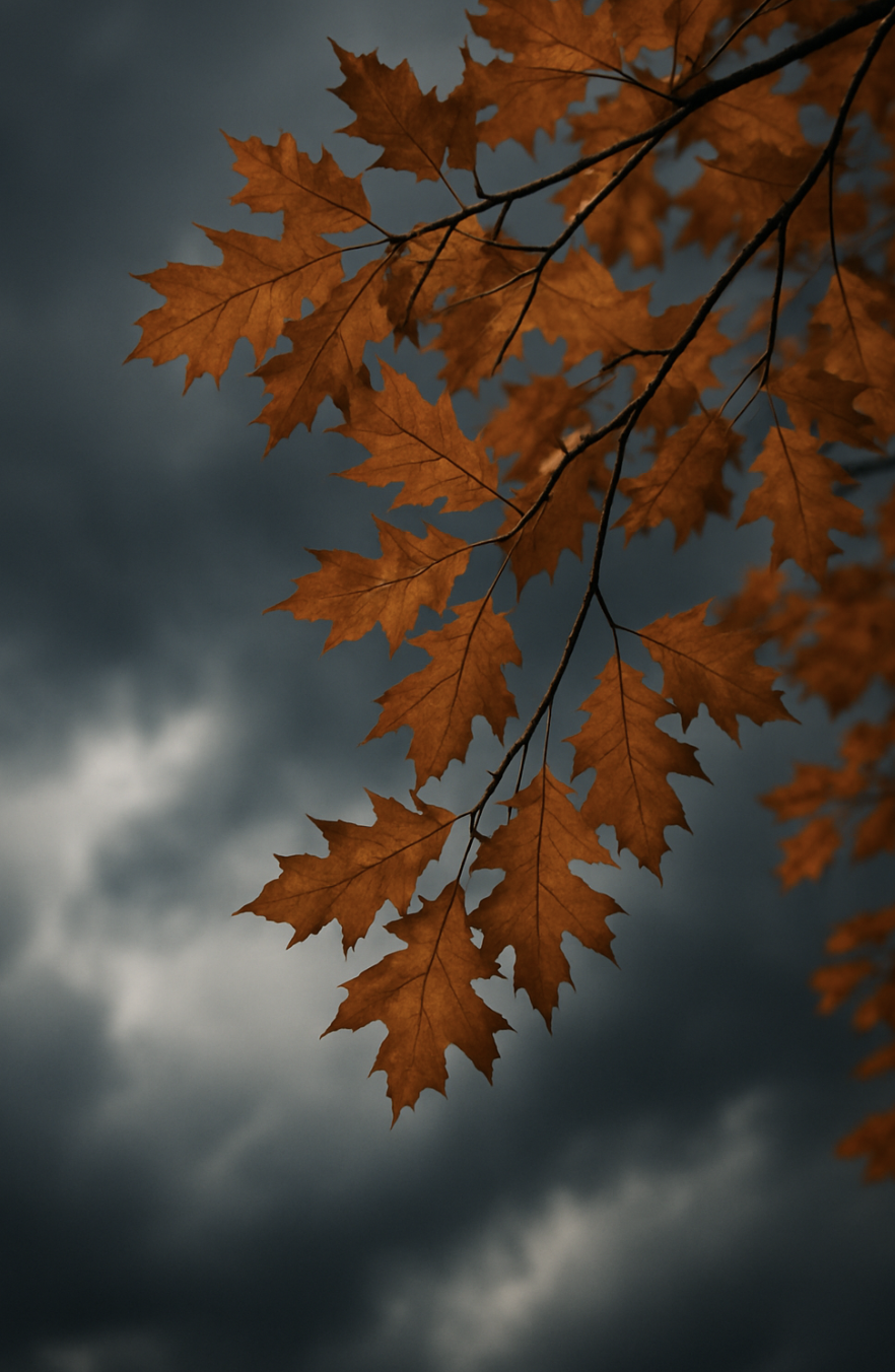 Why We Feel Weather Changes in Our Bones