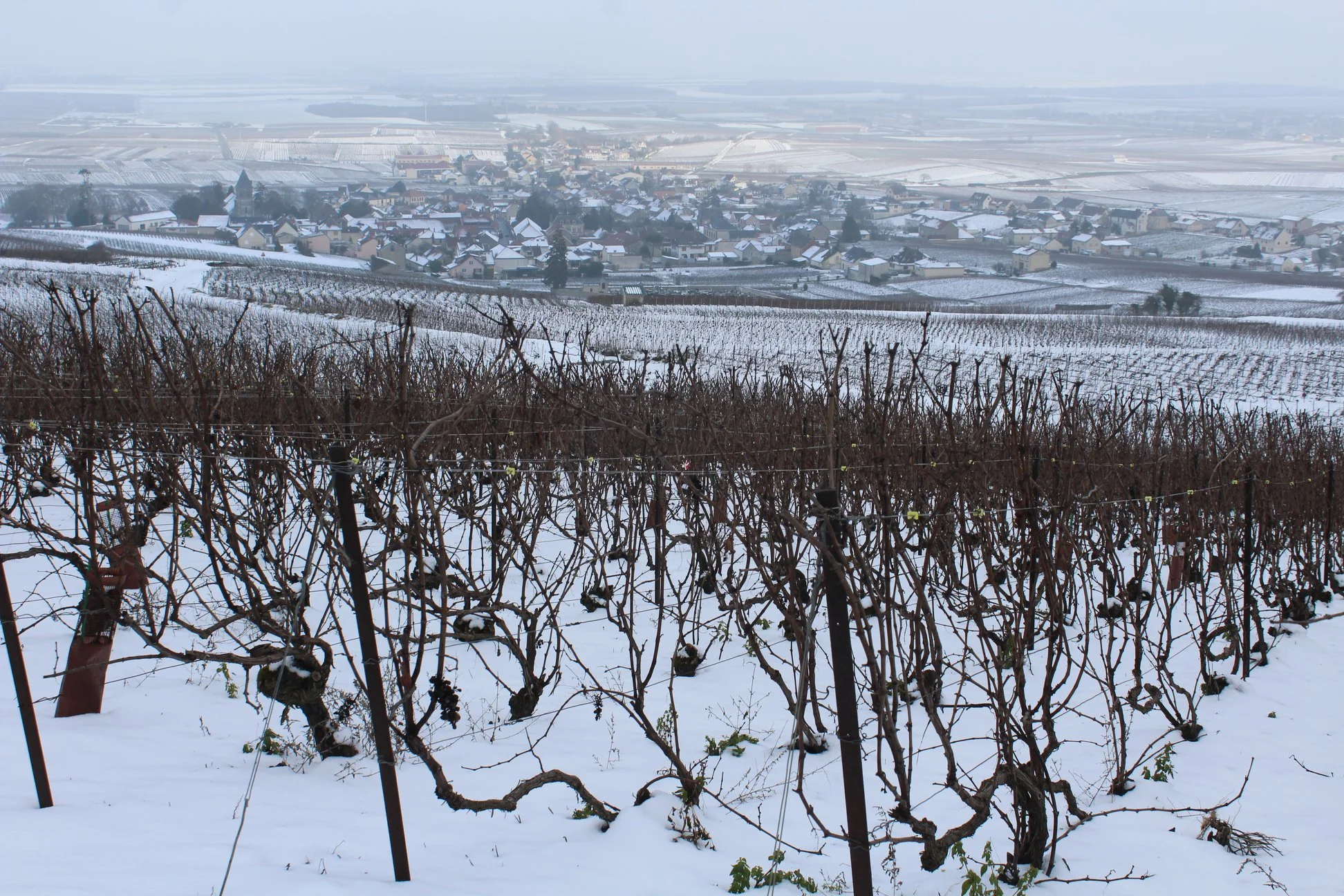 A Sommelier’s Trip to Champagne in Winter