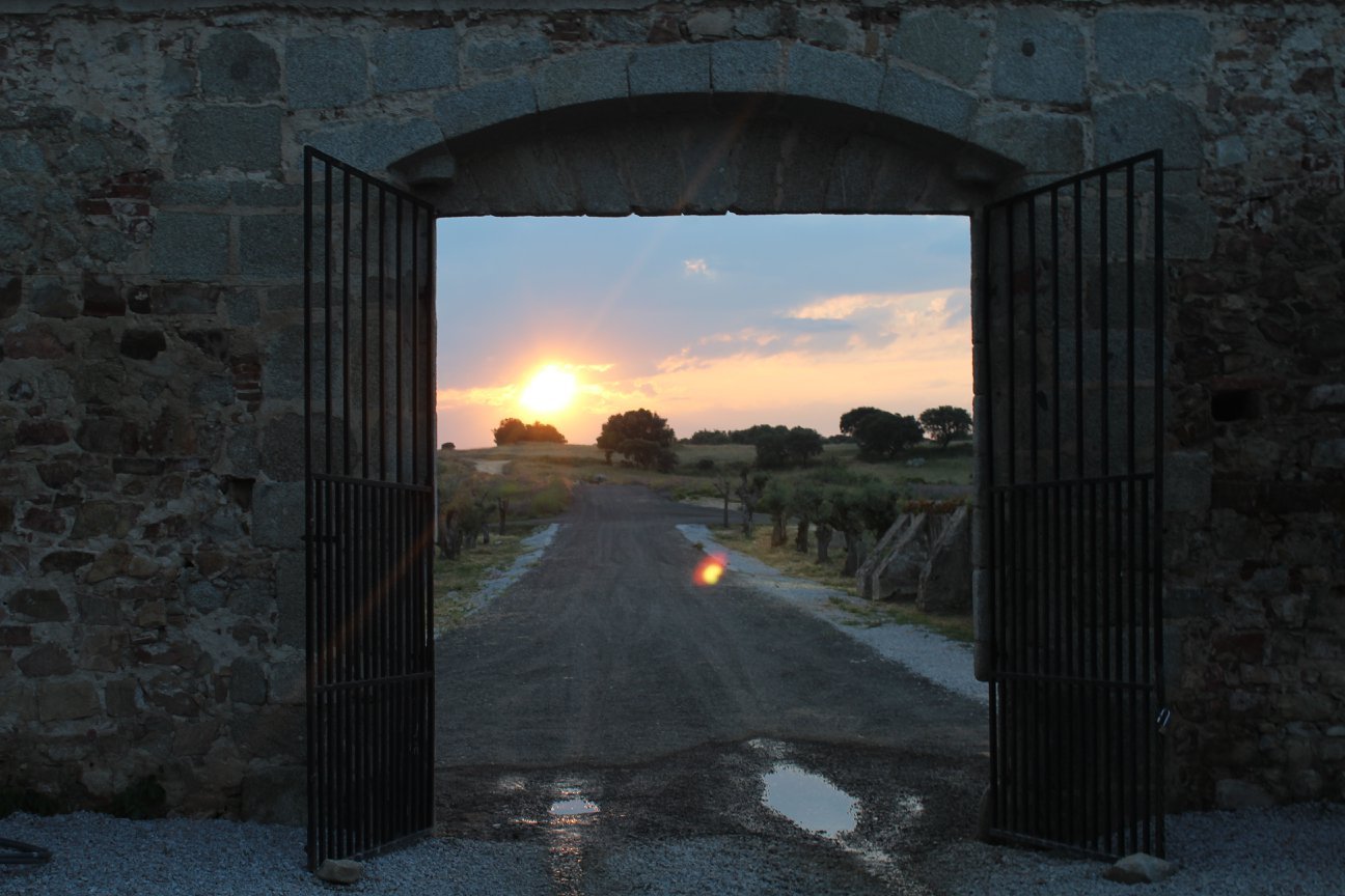 A Sommelier’s Journey Through Alentejo Part 1