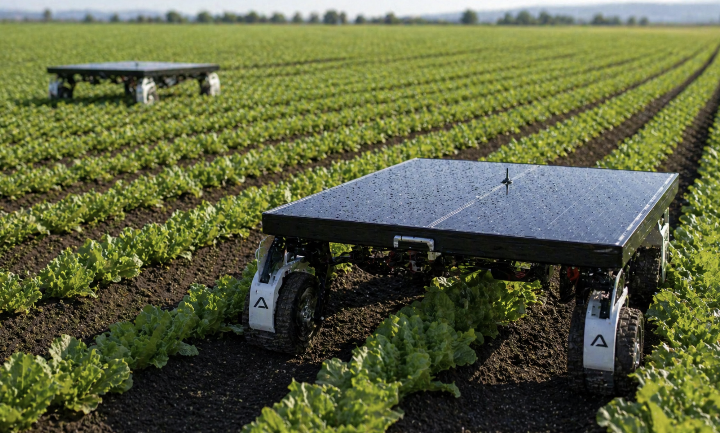 The Weeds We Can’t See: Solar-Powered AI Robots Might Save Our Food