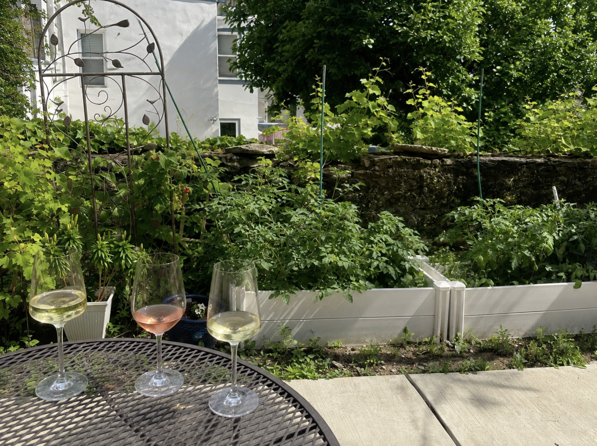 Unexpected Garden Pairings This Year