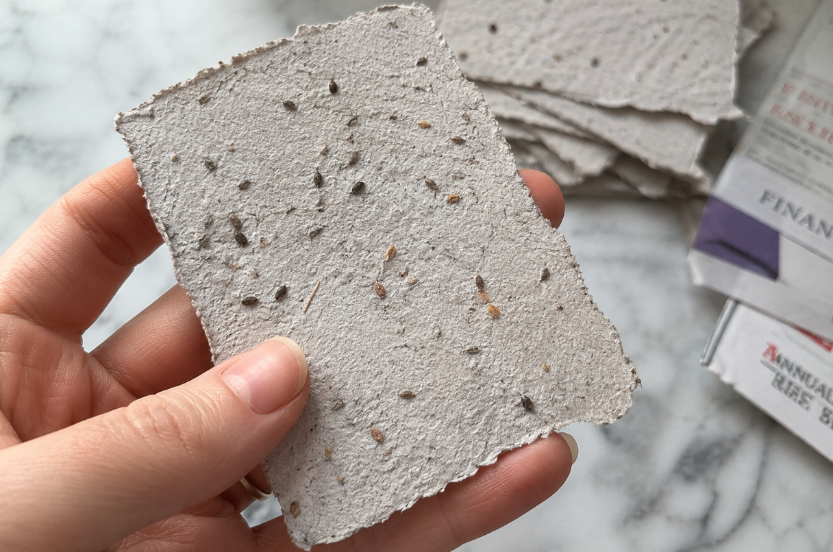 Make Plantable Seed Paper From Junk Mail: A Crafty Way to Grow Beauty from Trash