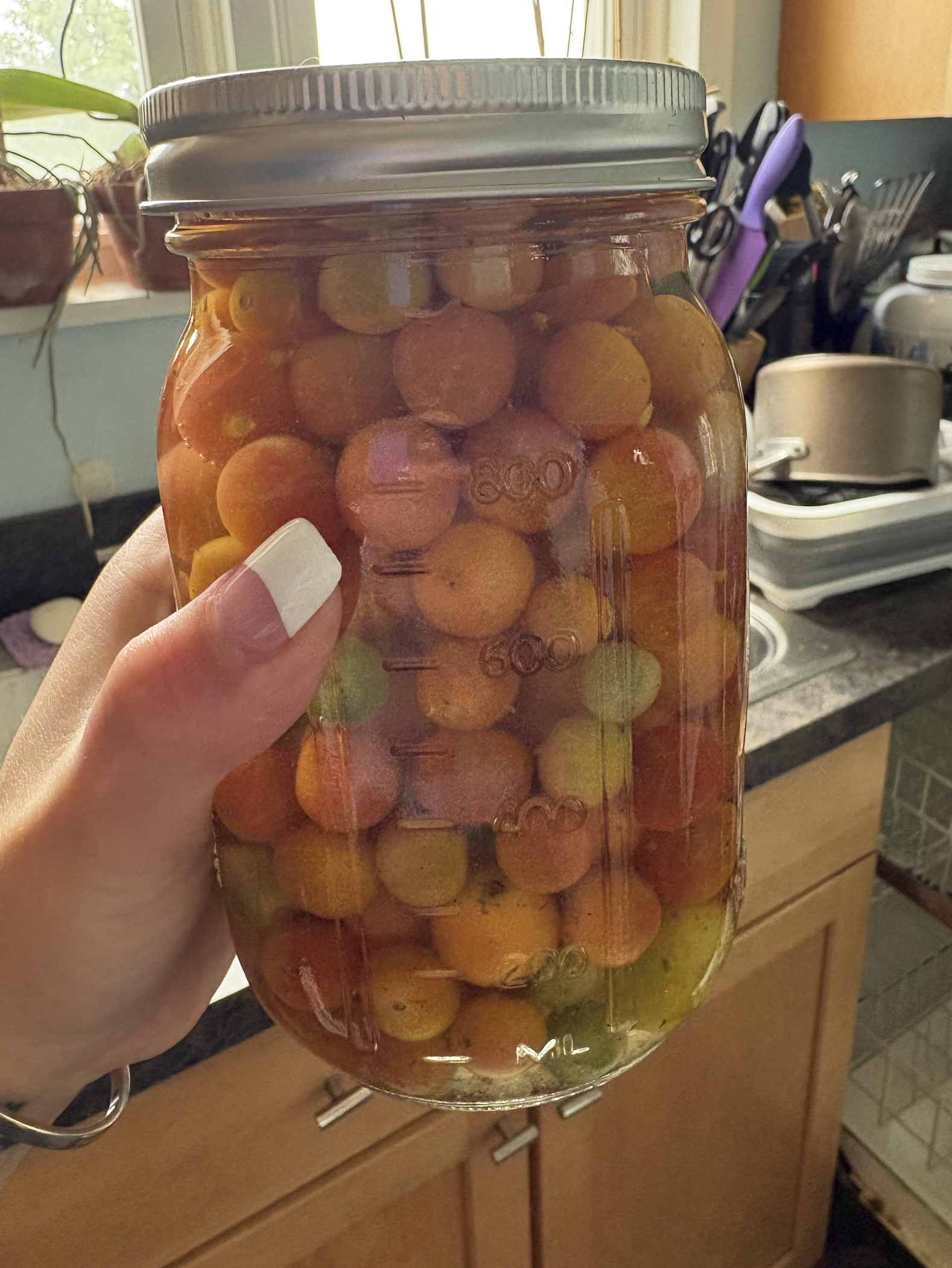 Pickling End of the Season Tomatoes