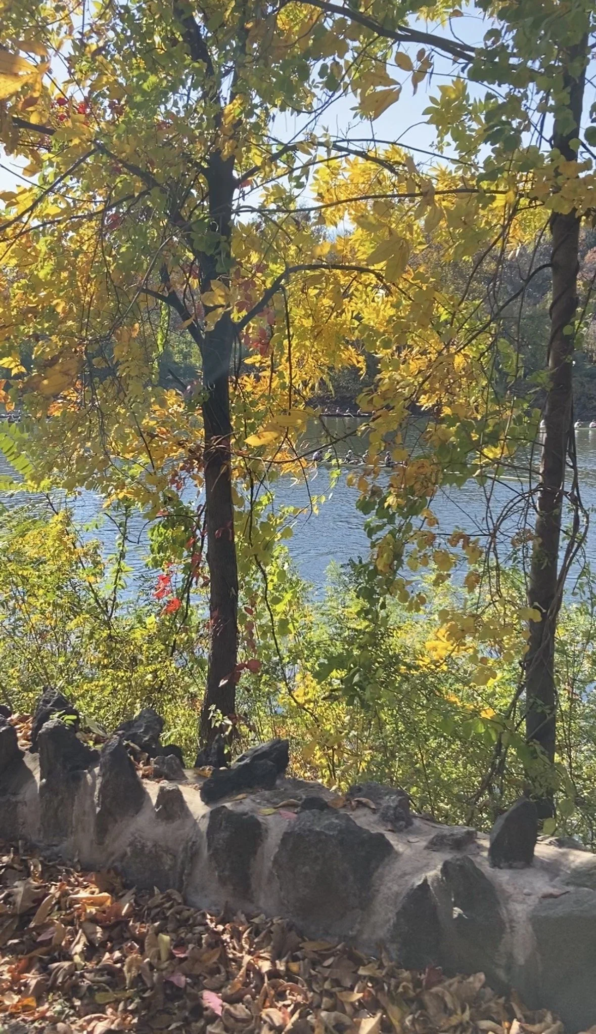 Why Does Fall Smell So Good? The Weird Science of Autumn Air