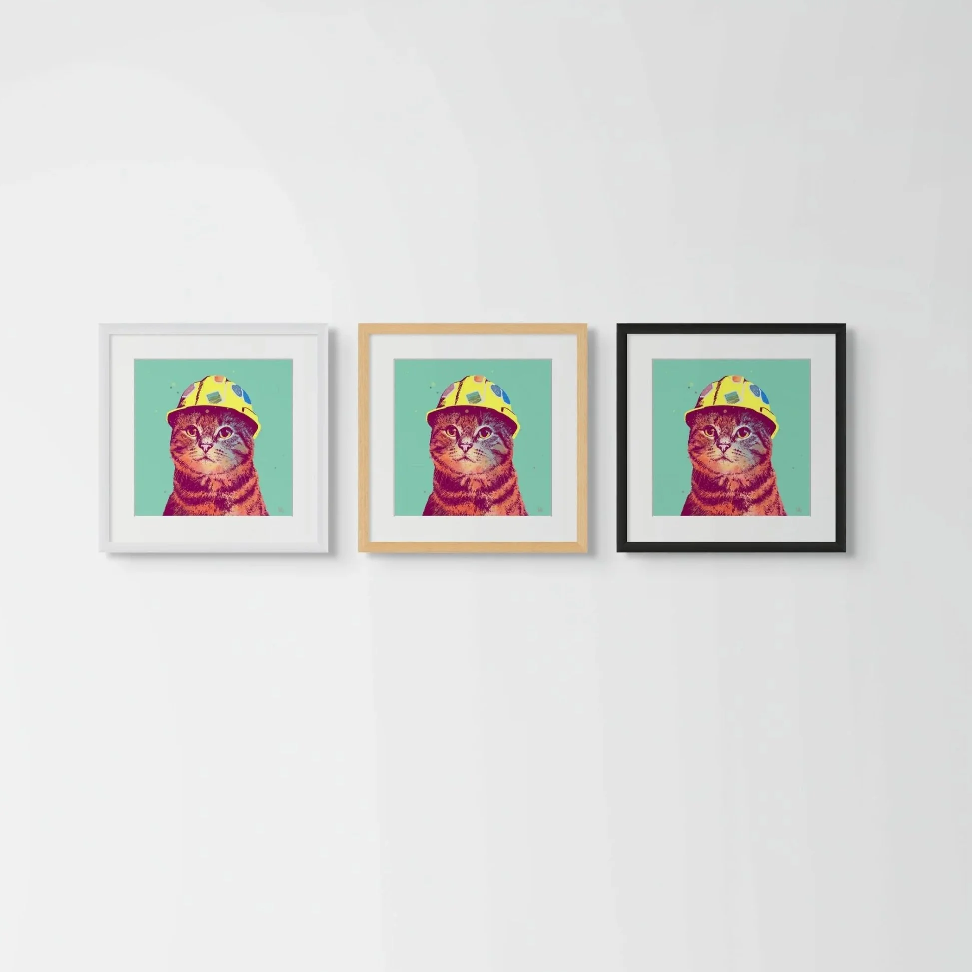 frame+choices-full.jpg