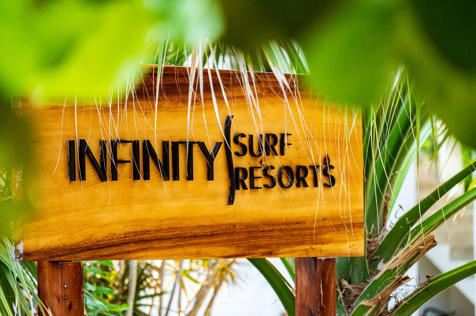A wooden sign labeled 'Infinity Surf Resorts' surrounded by green tropical foliage