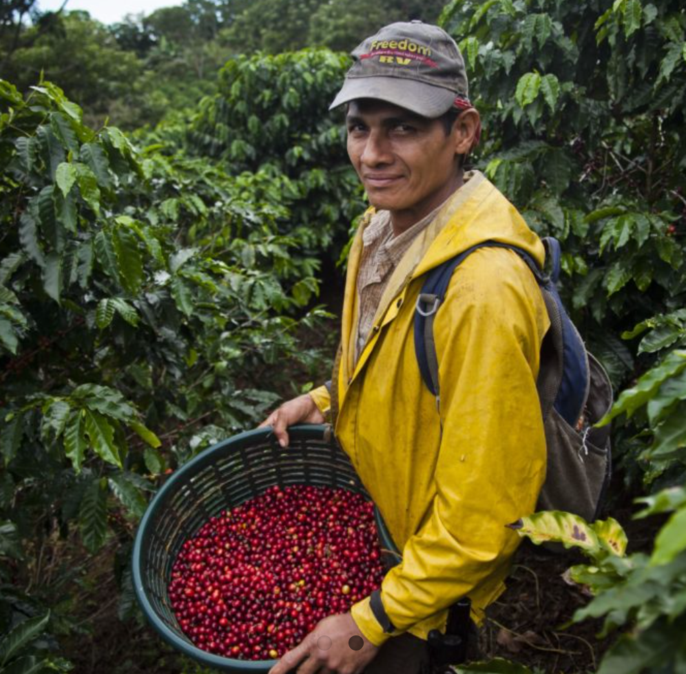 Costa Rica Natural Hacienda Sonora