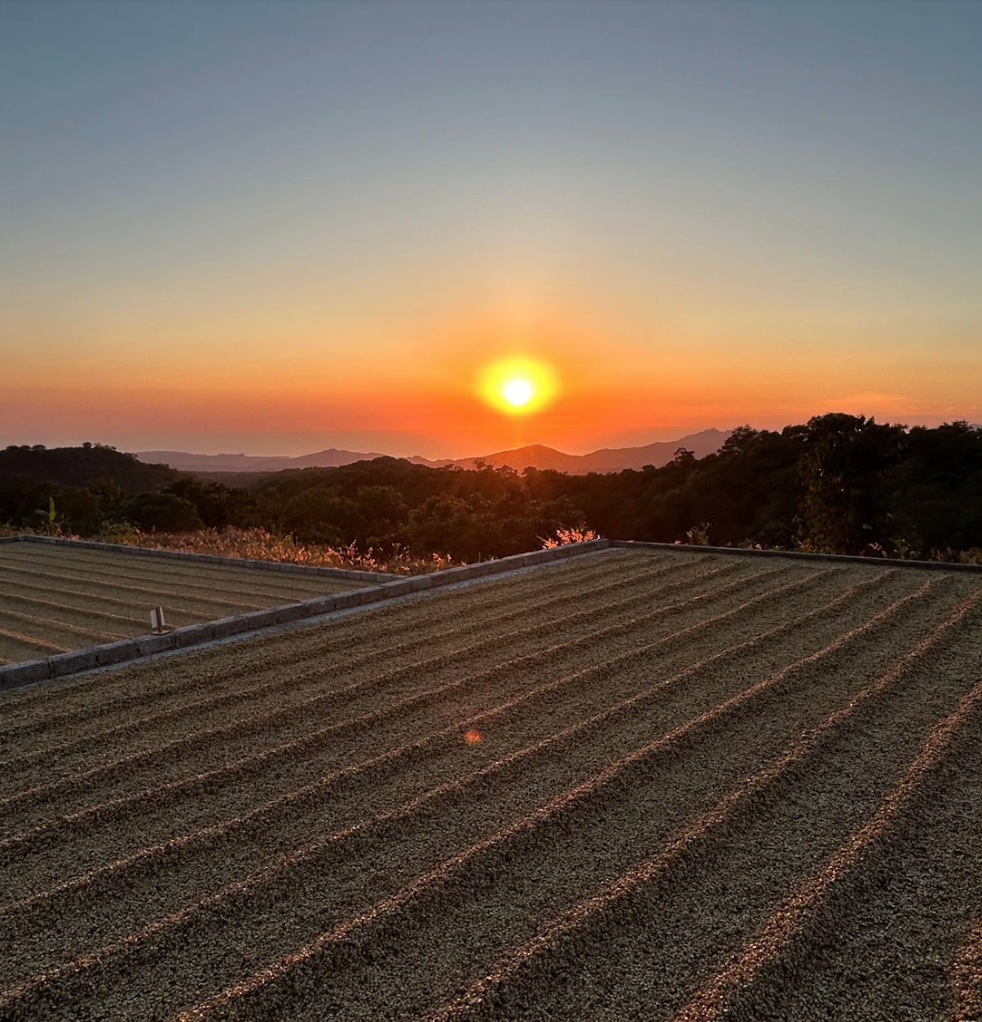 Screen Shot 2026-02-12 at 9.51.29 AM.png