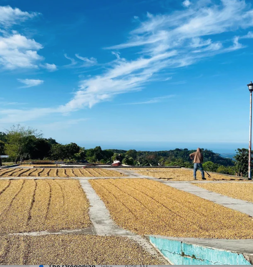 Mexico Nayarit Washed El Cuarenteno Reserva Washed