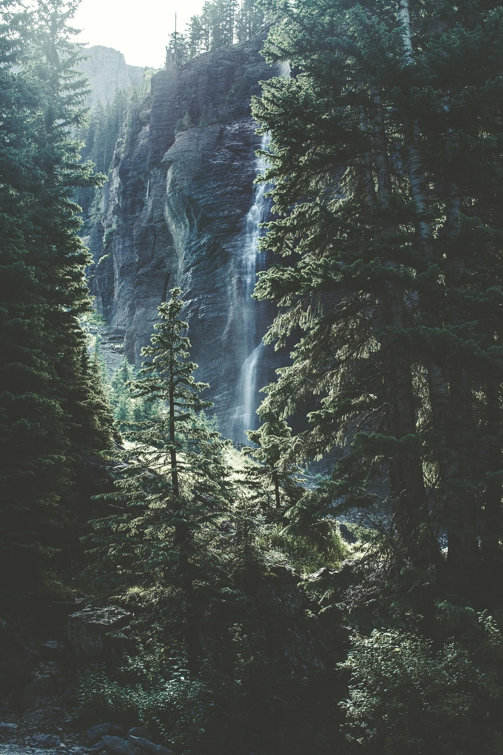 Bring Nature into Your Home