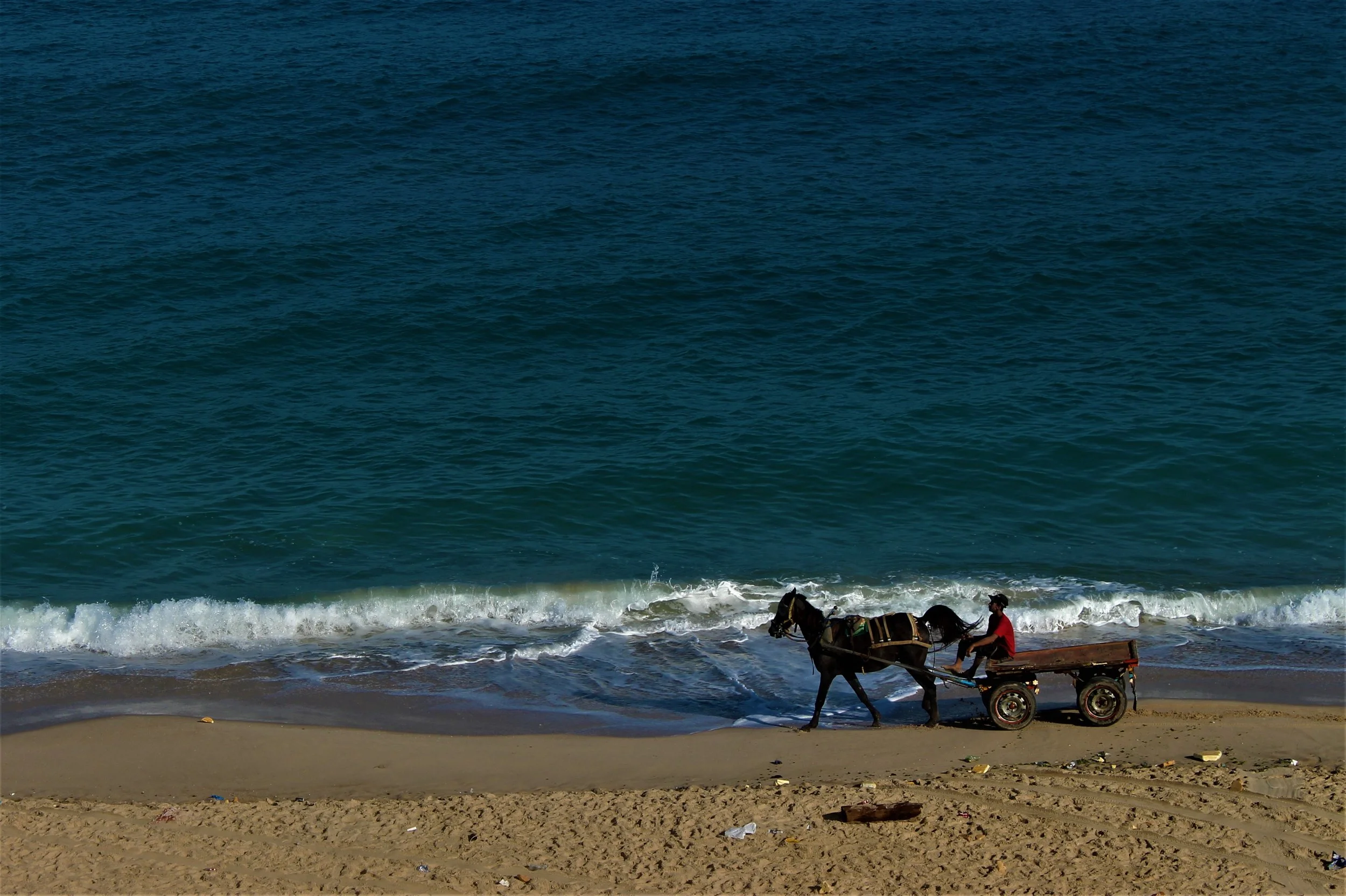 AJ-5 | 8x11 | $100.

Please email incubator@artsconnectinternational.org for sales